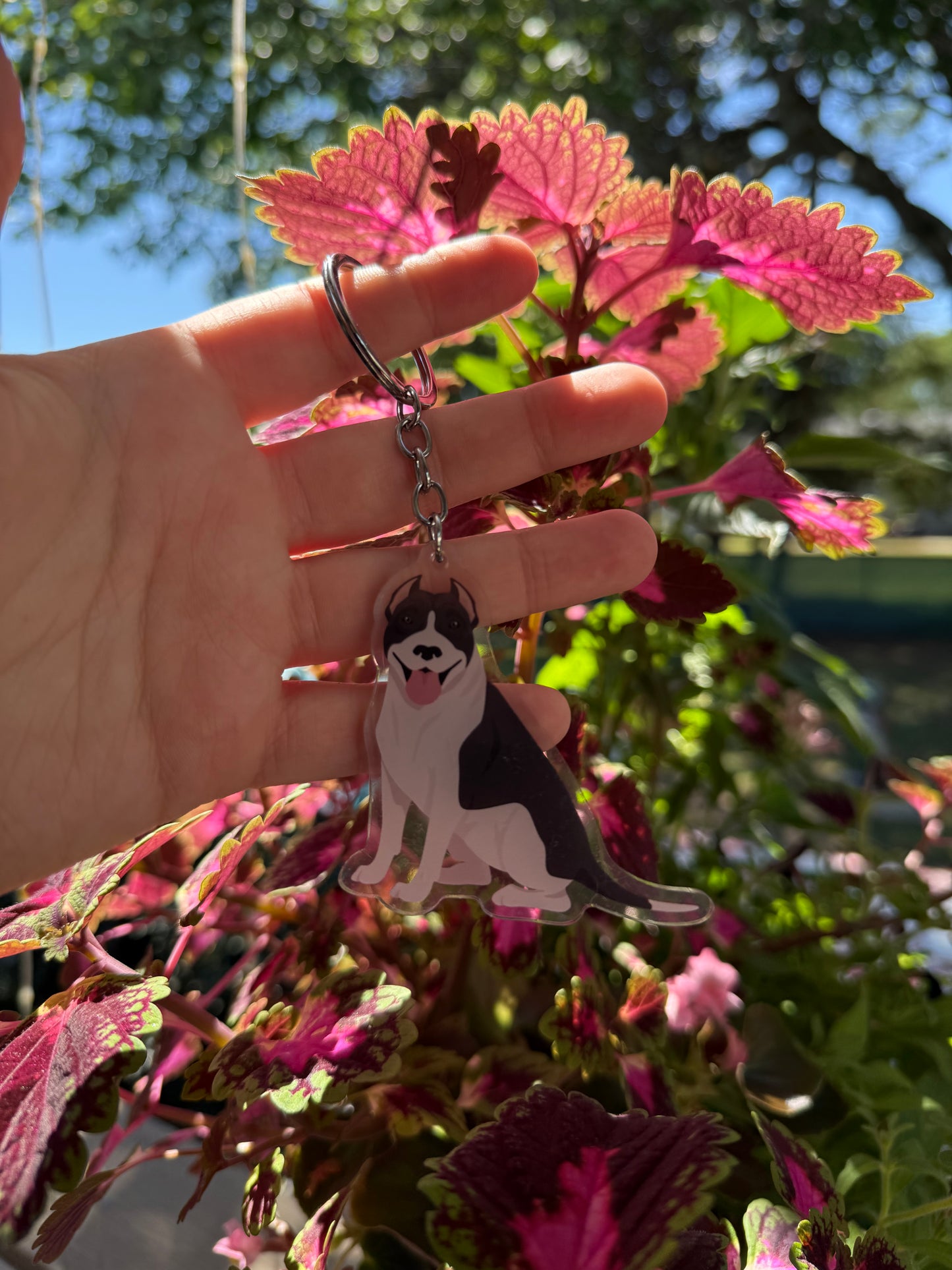American Pit Bull Terrier Dog 2.5in Acrylic Keychain