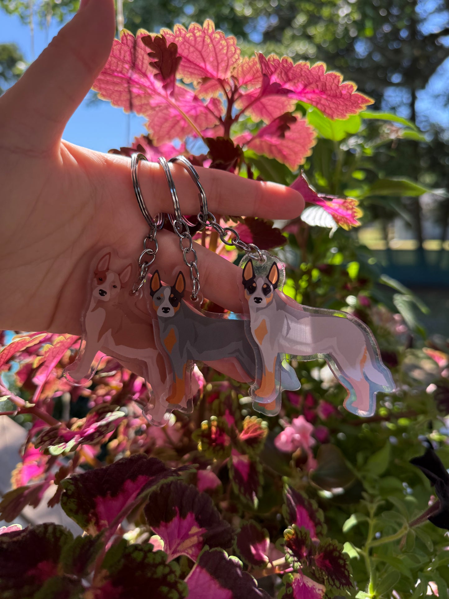 Australian Cattle Dog 2.5in Acrylic Keychain