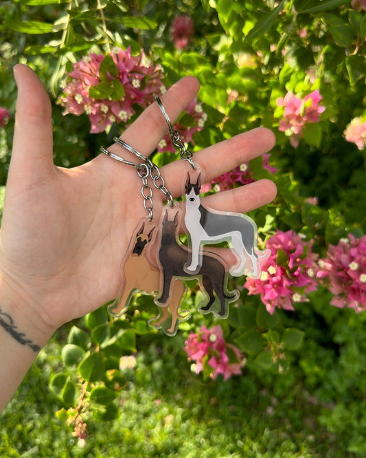 Great Dane Dog 2.5in Acrylic Keychain
