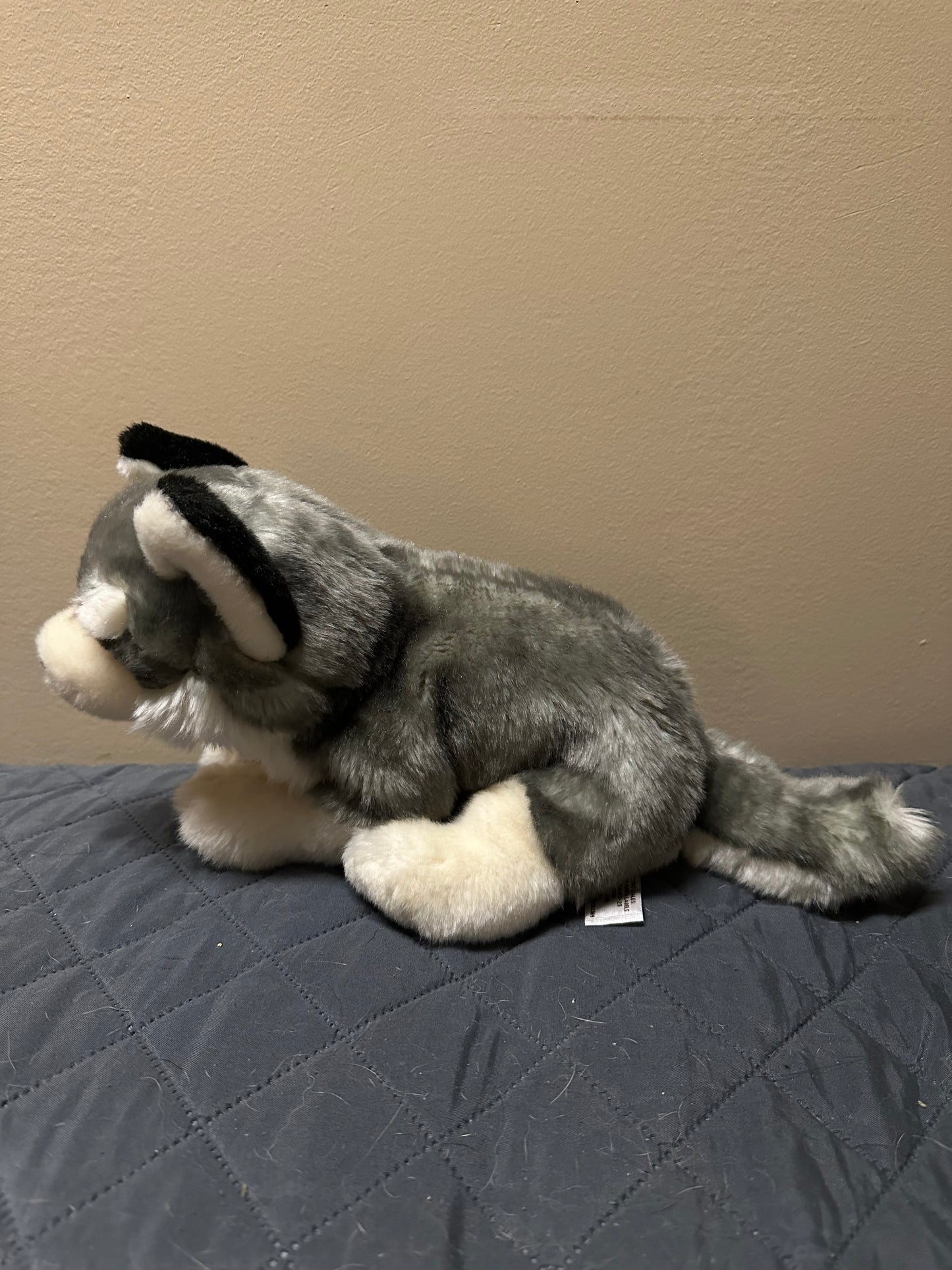 Anna Club Husky Dog Plush