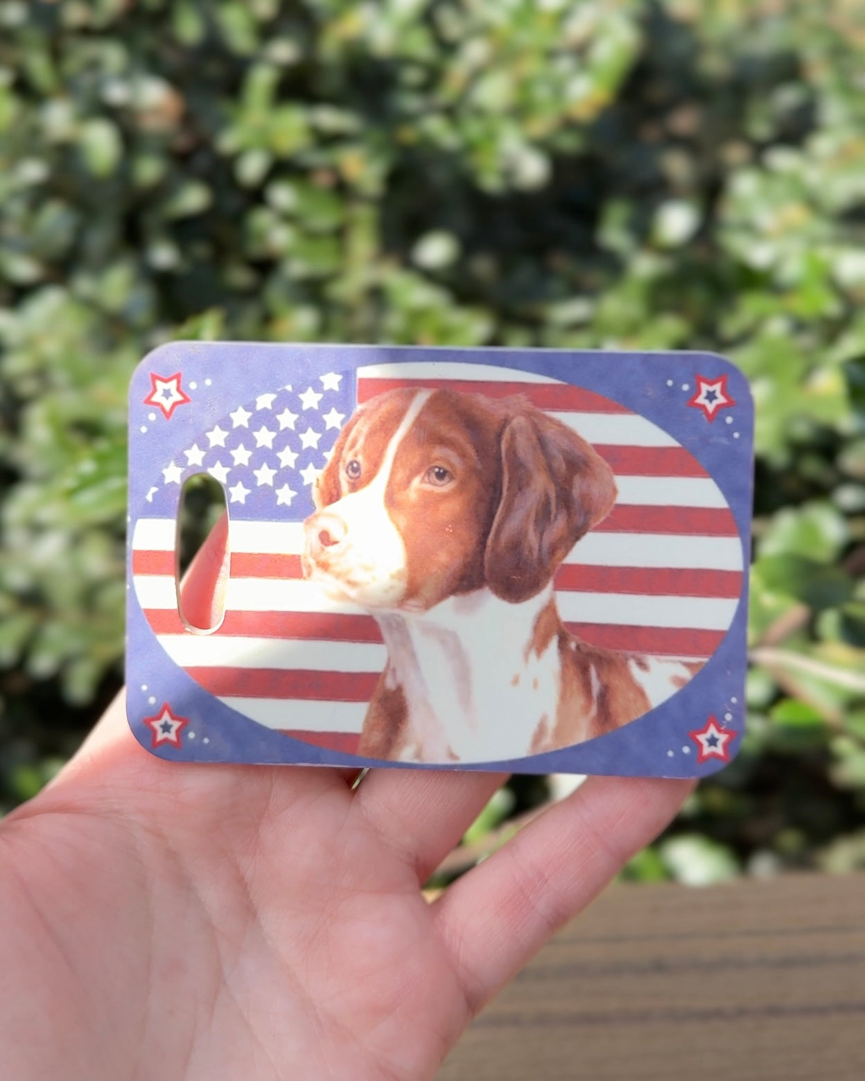 Brittany Dog Luggage Tag