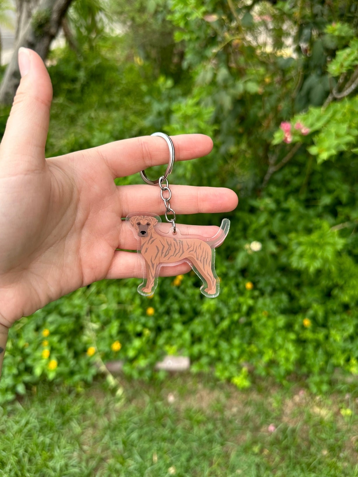 Treeing Tennessee Brindle Dog 2.5in Acrylic Keychain