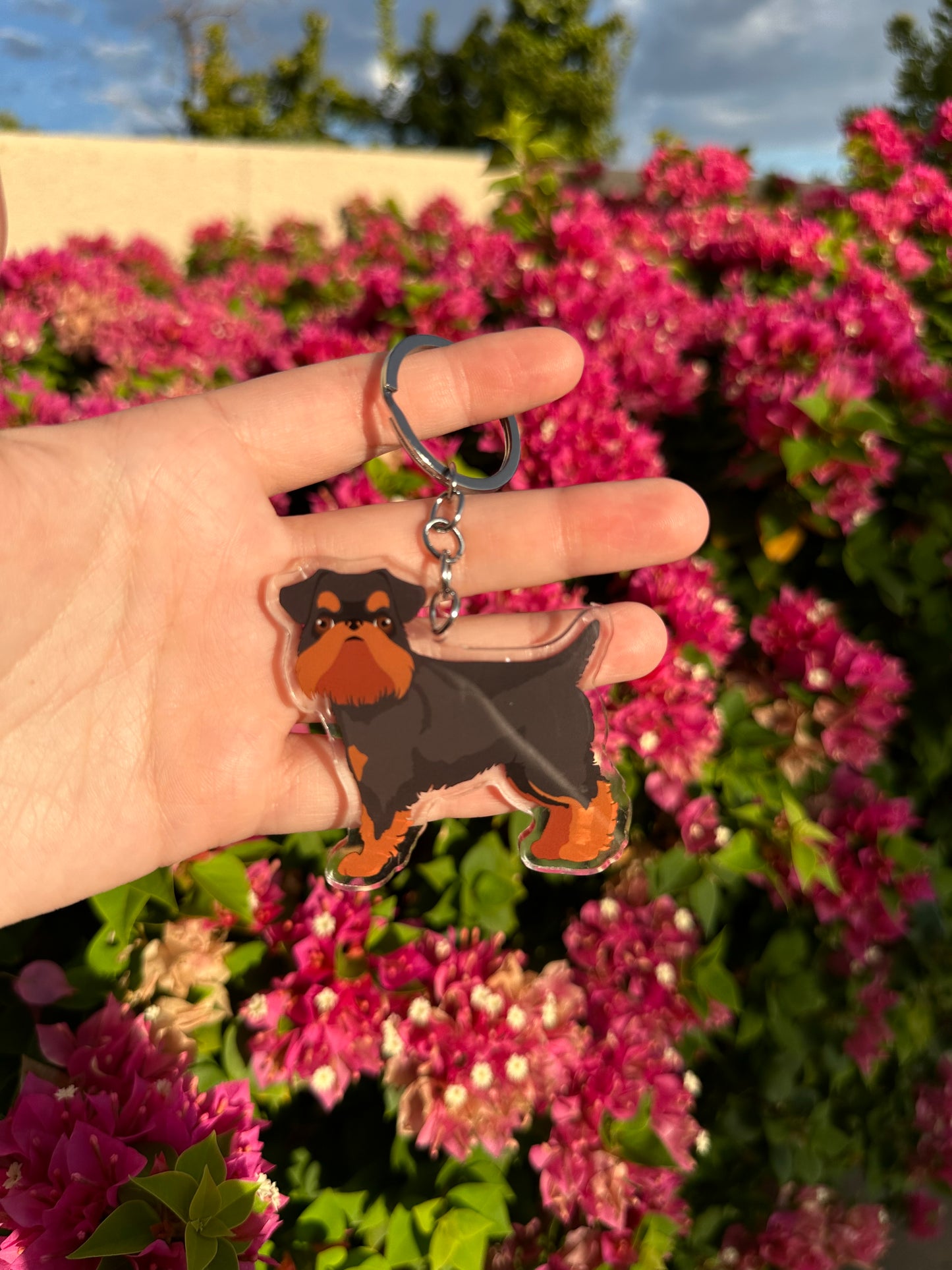 Brussels Griffon Dog 2.5in Acrylic Keychain