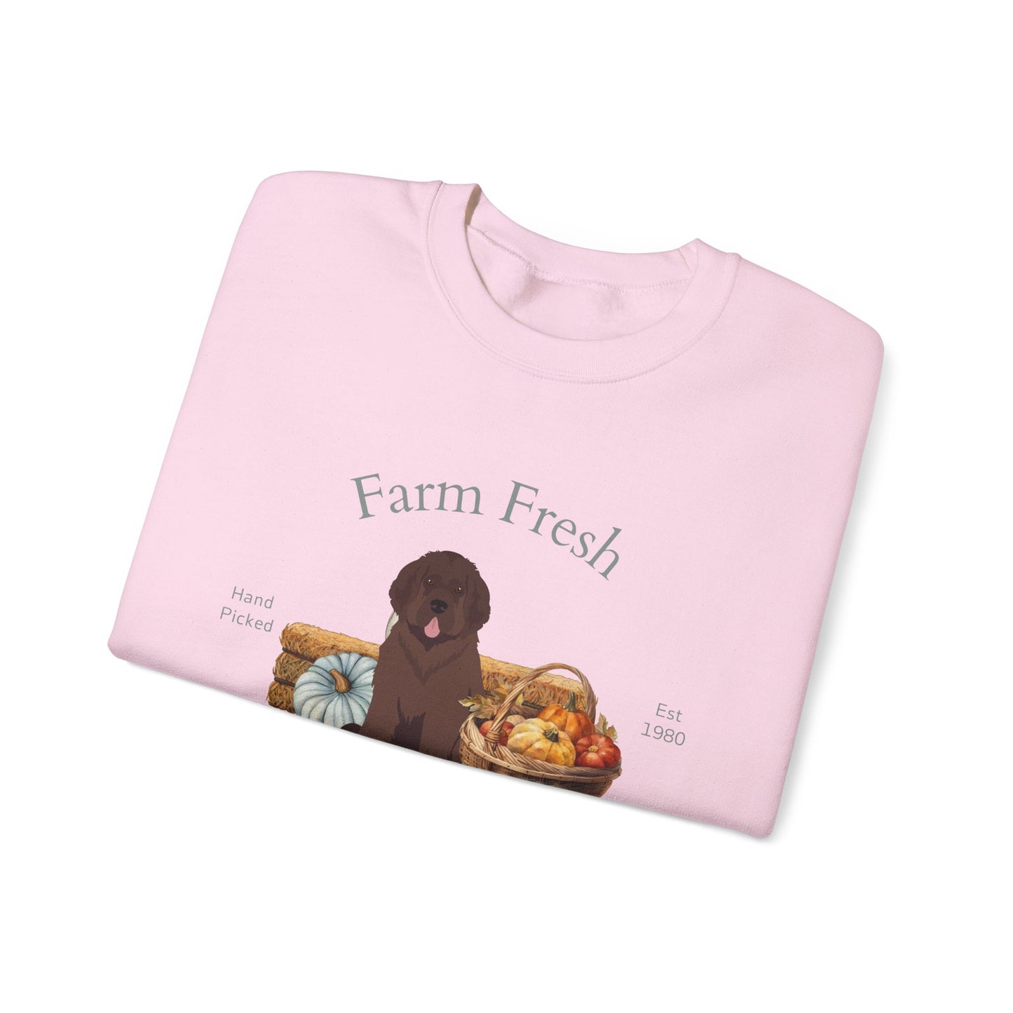 Newfoundland Dog Fall Farm Fresh Unisex Heavy Blend Crewneck Sweatshirt