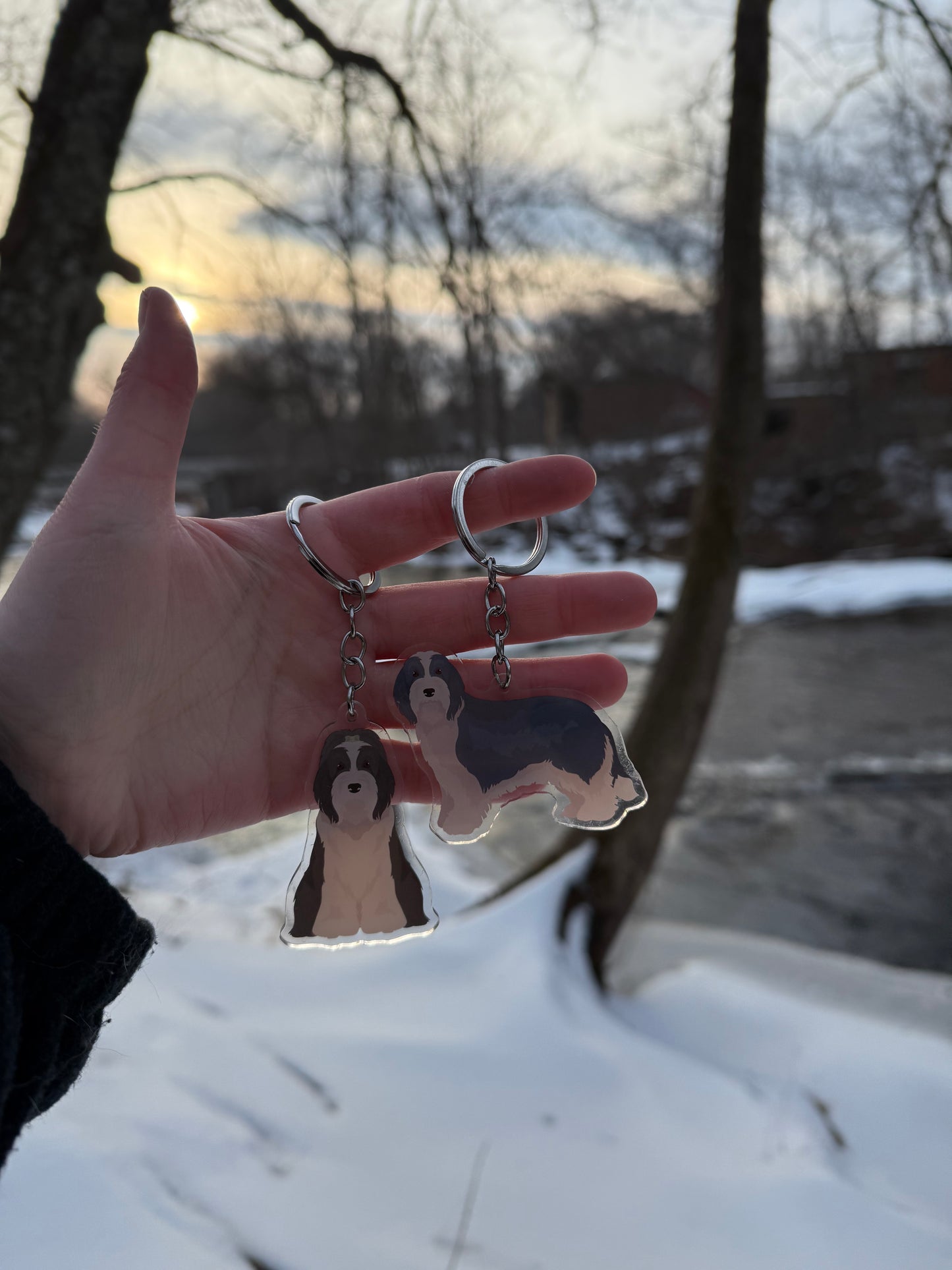 Bearded Collie Dog 2.5in Acrylic Keychain
