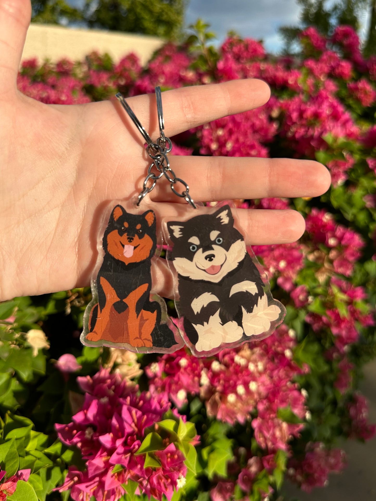 Finnish Lapphund Dog 2.5in Acrylic Keychain