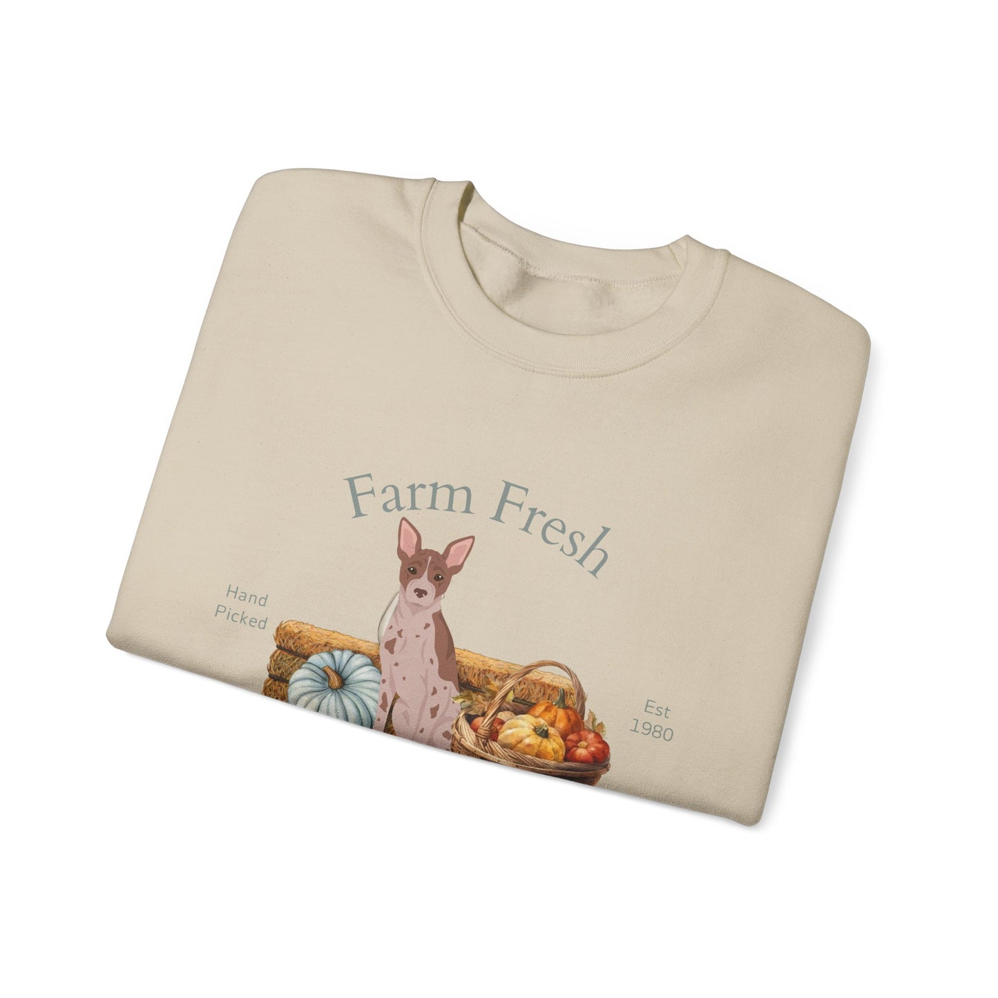 American Hairless Terrier Dog Fall Farm Fresh Unisex Heavy Blend Crewneck Sweatshirt