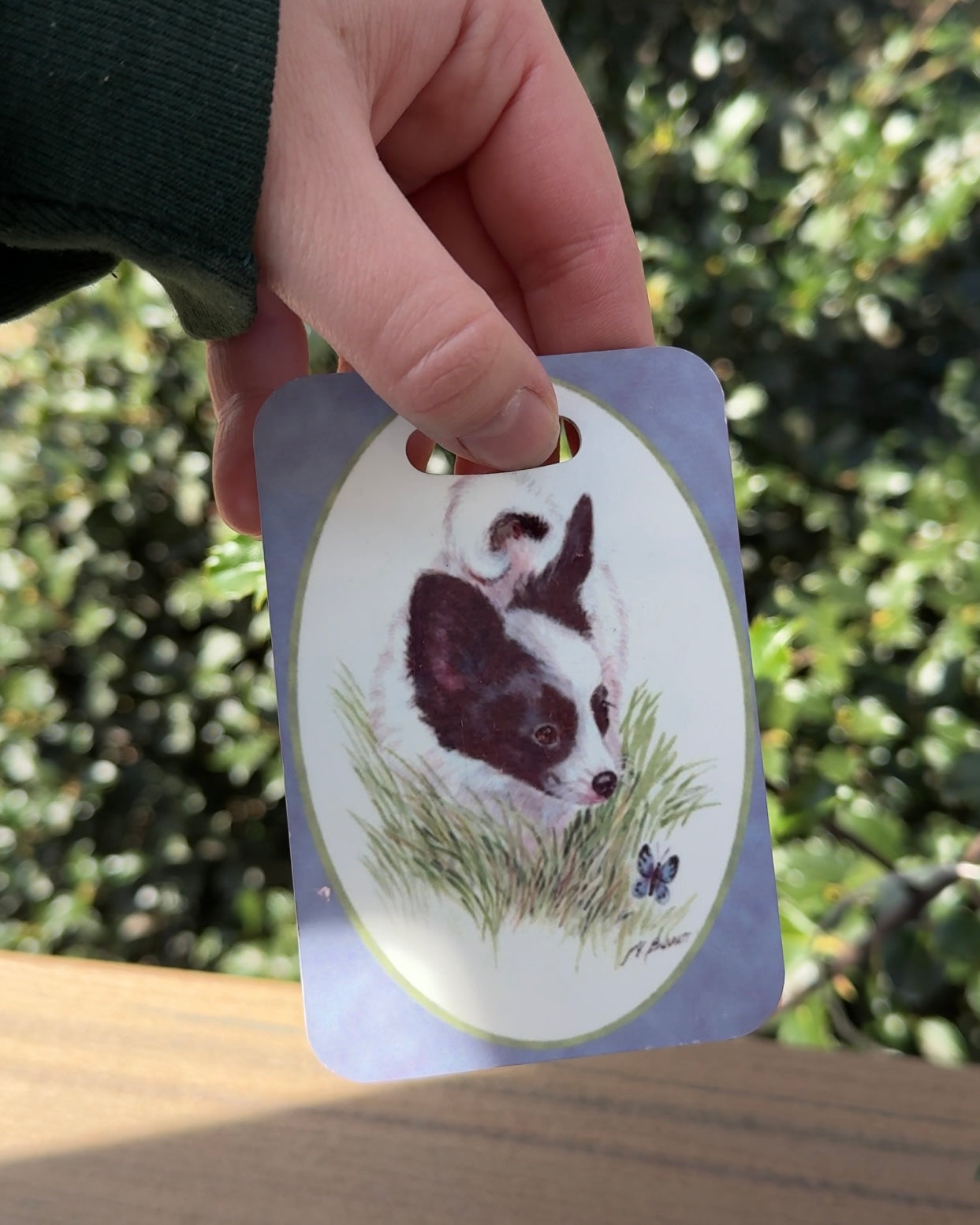 Papillon Dog Luggage Tag