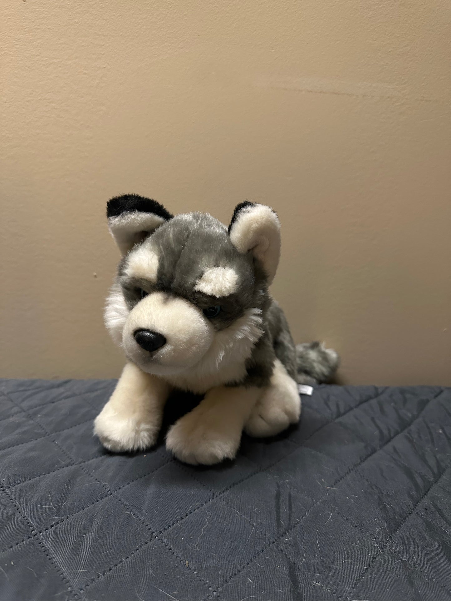 Anna Club Husky Dog Plush