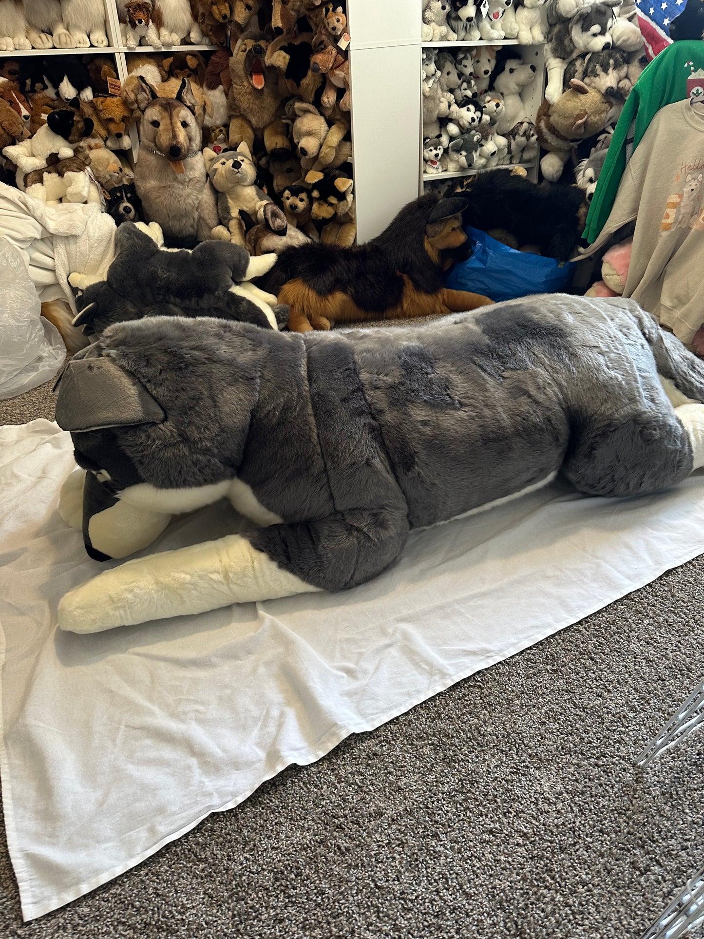 Quil the Wolf Dog Plush 72in *deposit*