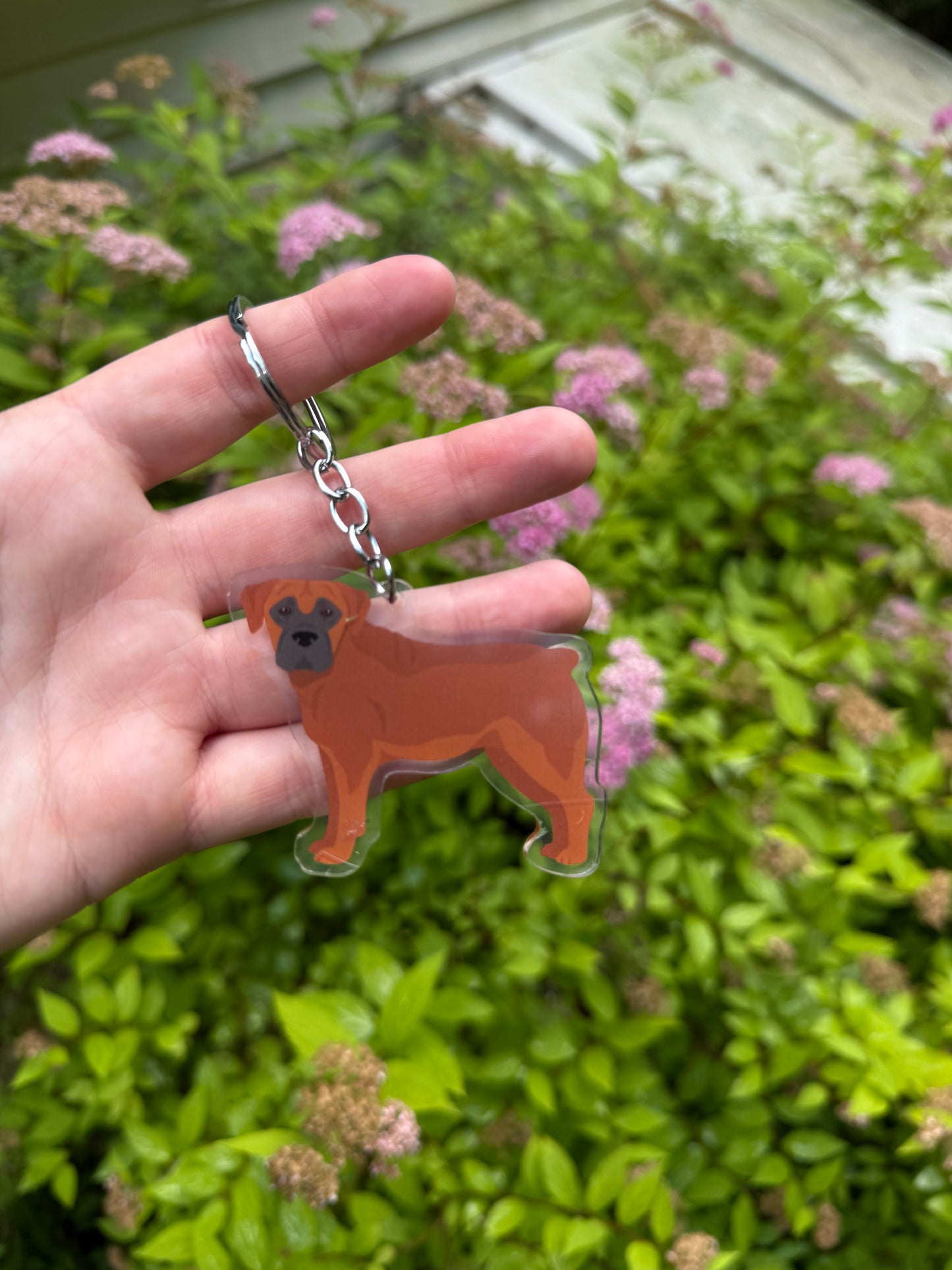 Boerboel Dog 2.5in Acrylic Keychain