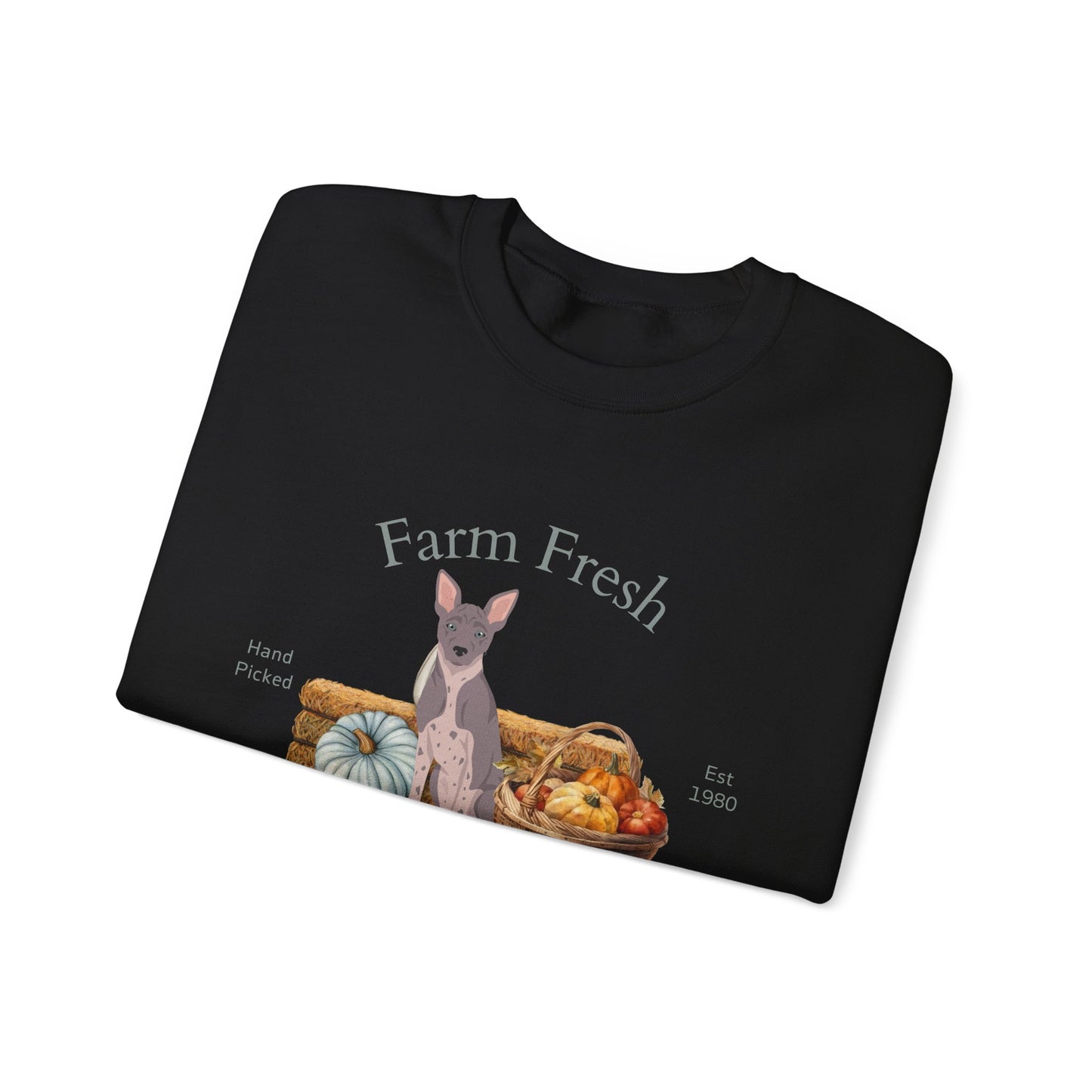 American Hairless Terrier Dog Fall Farm Fresh Unisex Heavy Blend Crewneck Sweatshirt