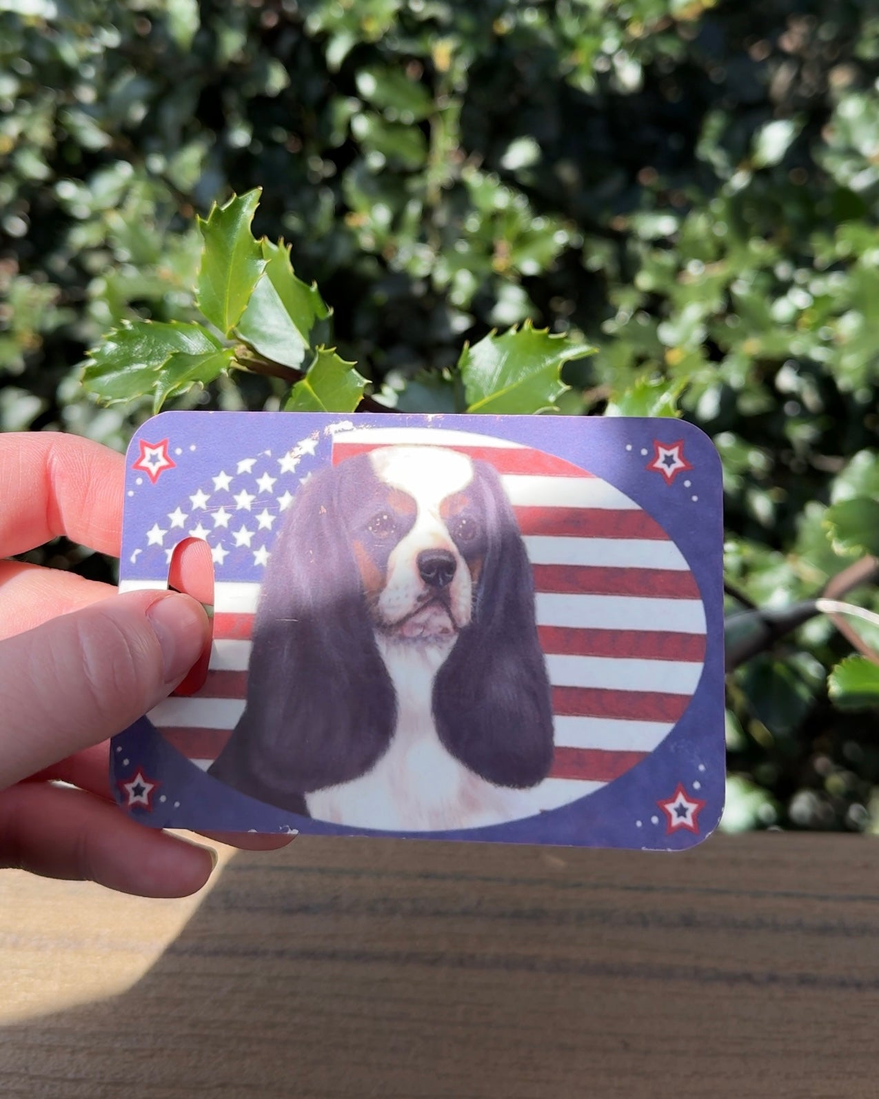 Cavalier King Charles Spaniel Dog Luggage Tag