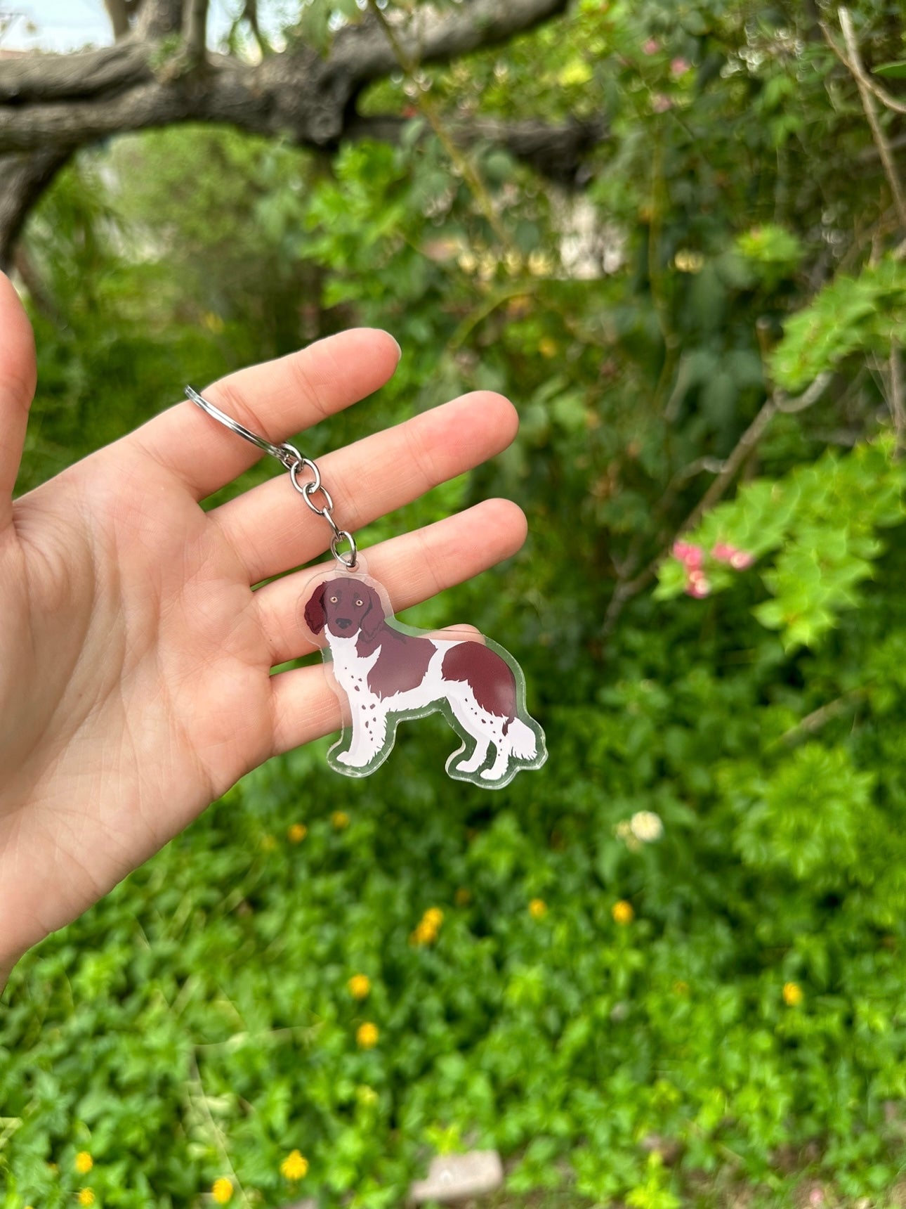 Stabyhoun Dog 2.5in Acrylic Keychain