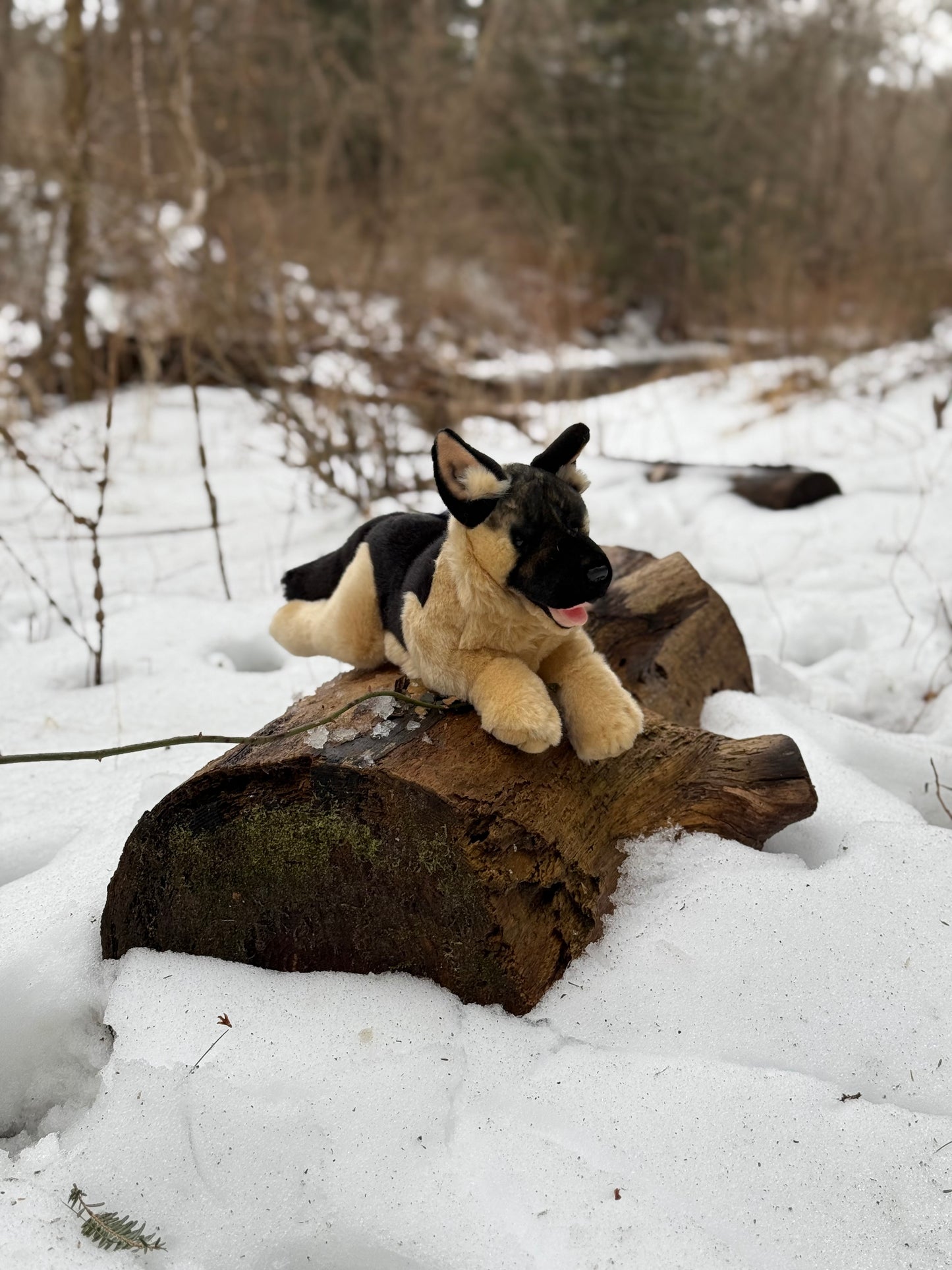 Bocchetta German Shepherd Dog Plush 28cm