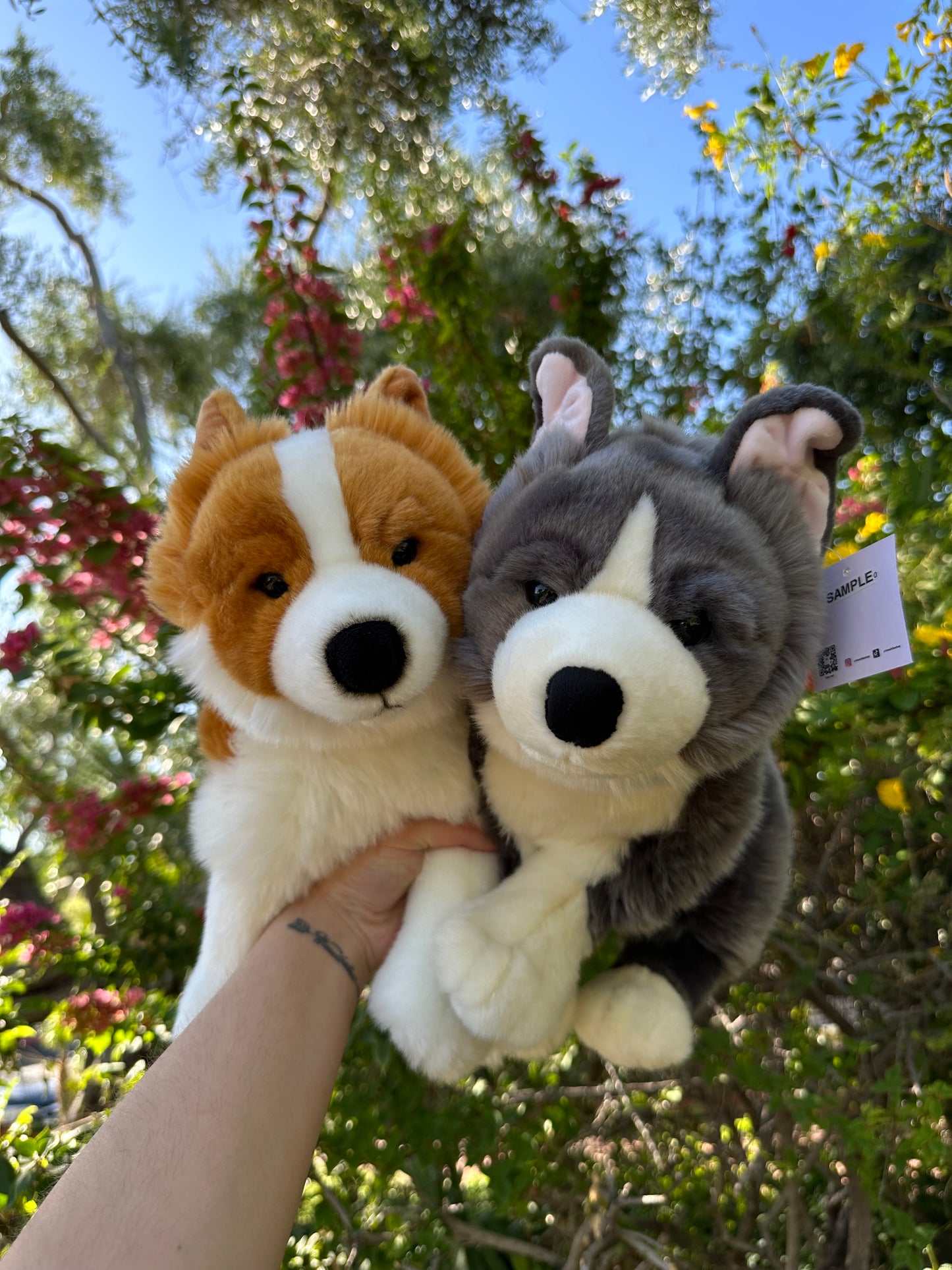 Pre Order Quest the Thai Bangkaew Dog Plush 15in