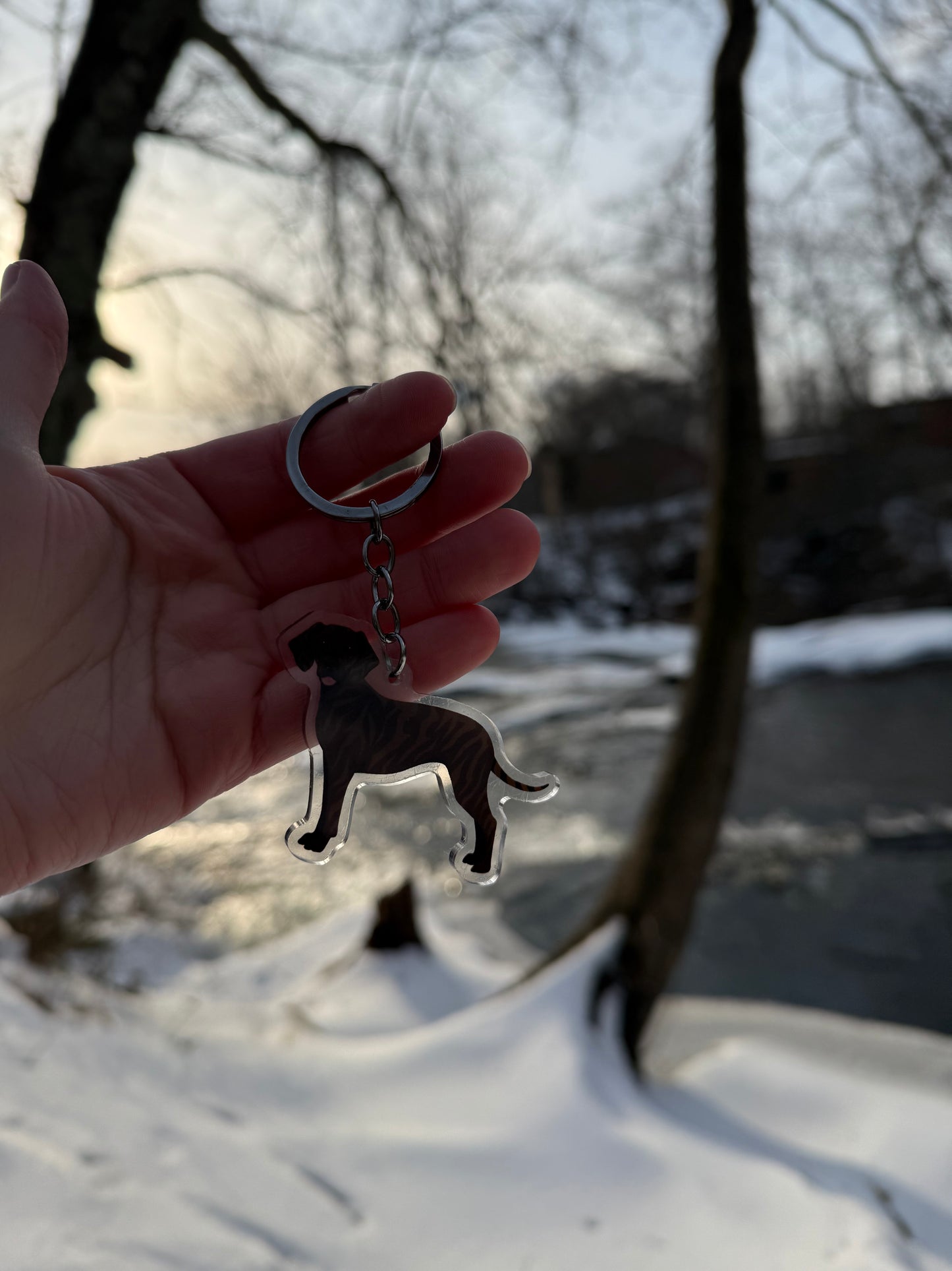 Plott Hound Dog 2.5in Acrylic Keychain