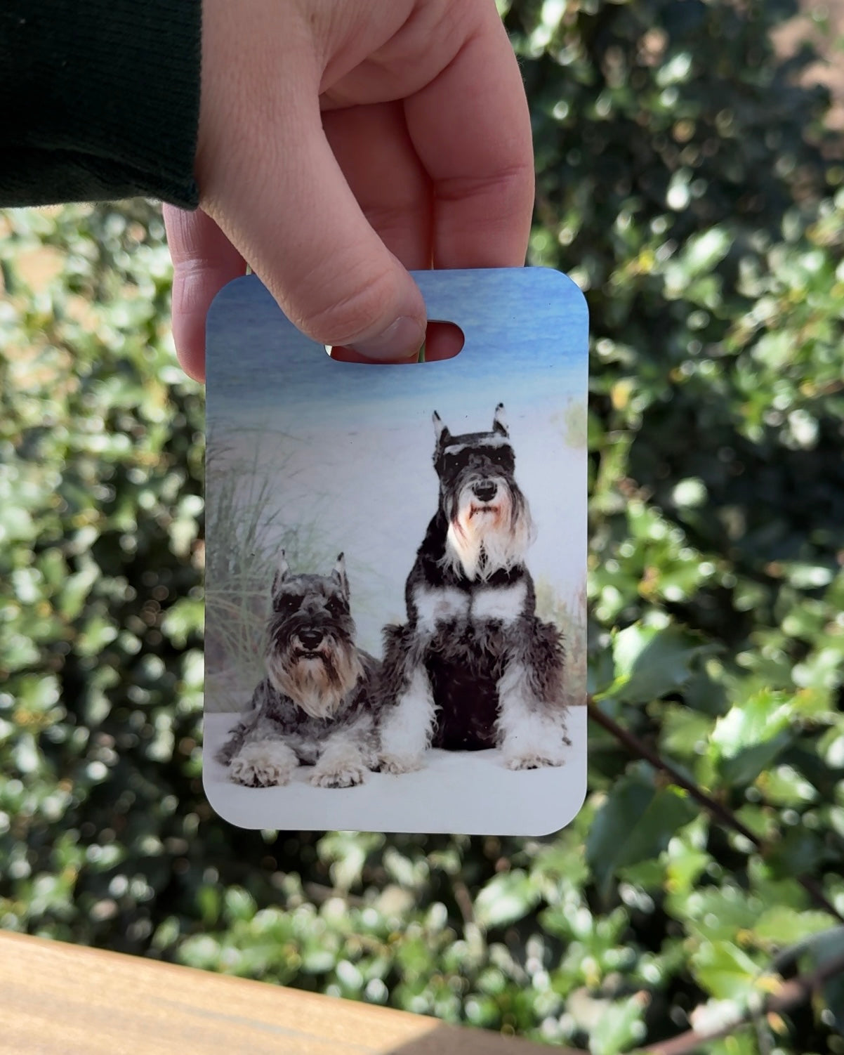 Schnauzer Dog Luggage Tag