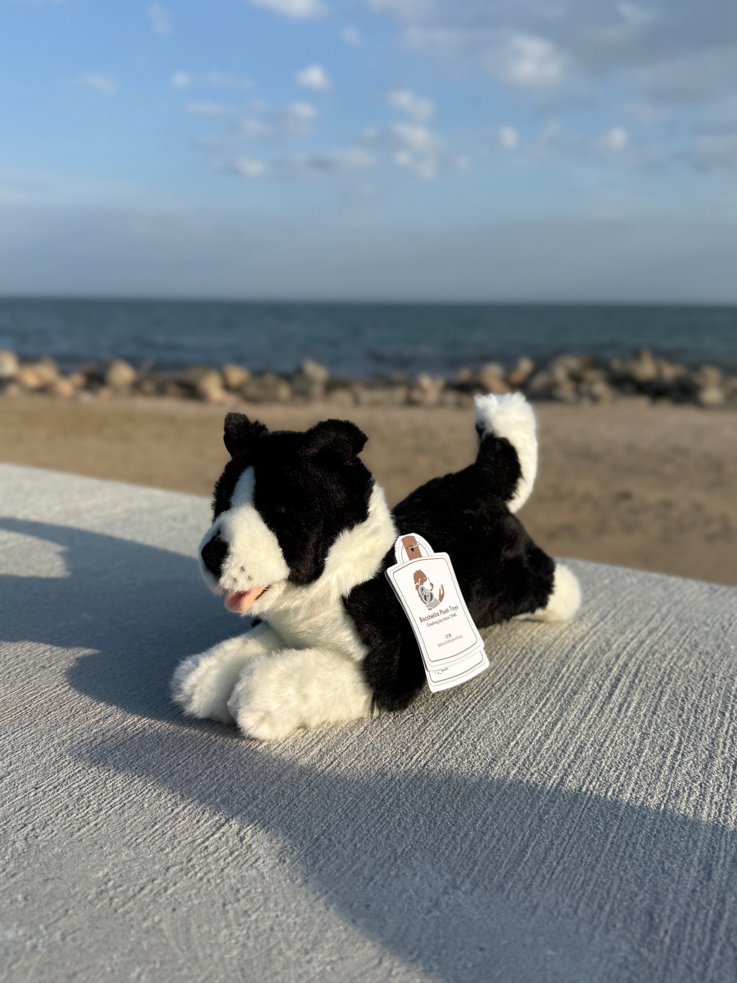 Bocchetta Border Collie Dog Plush 28cm