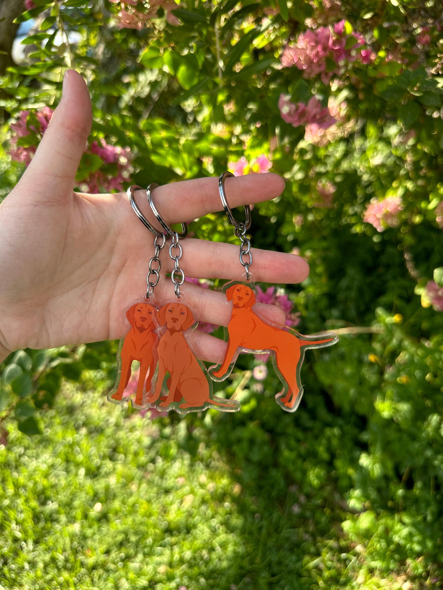 Vizsla Dog 2.5in Acrylic Keychain