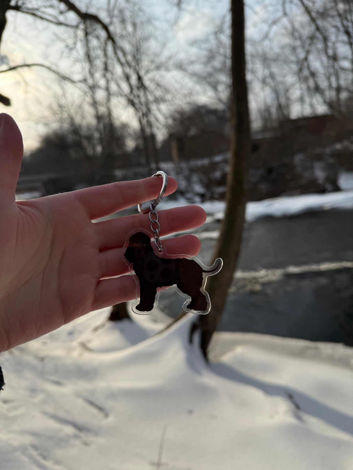 Irish Water Spaniel Dog 2.5in Acrylic Keychain