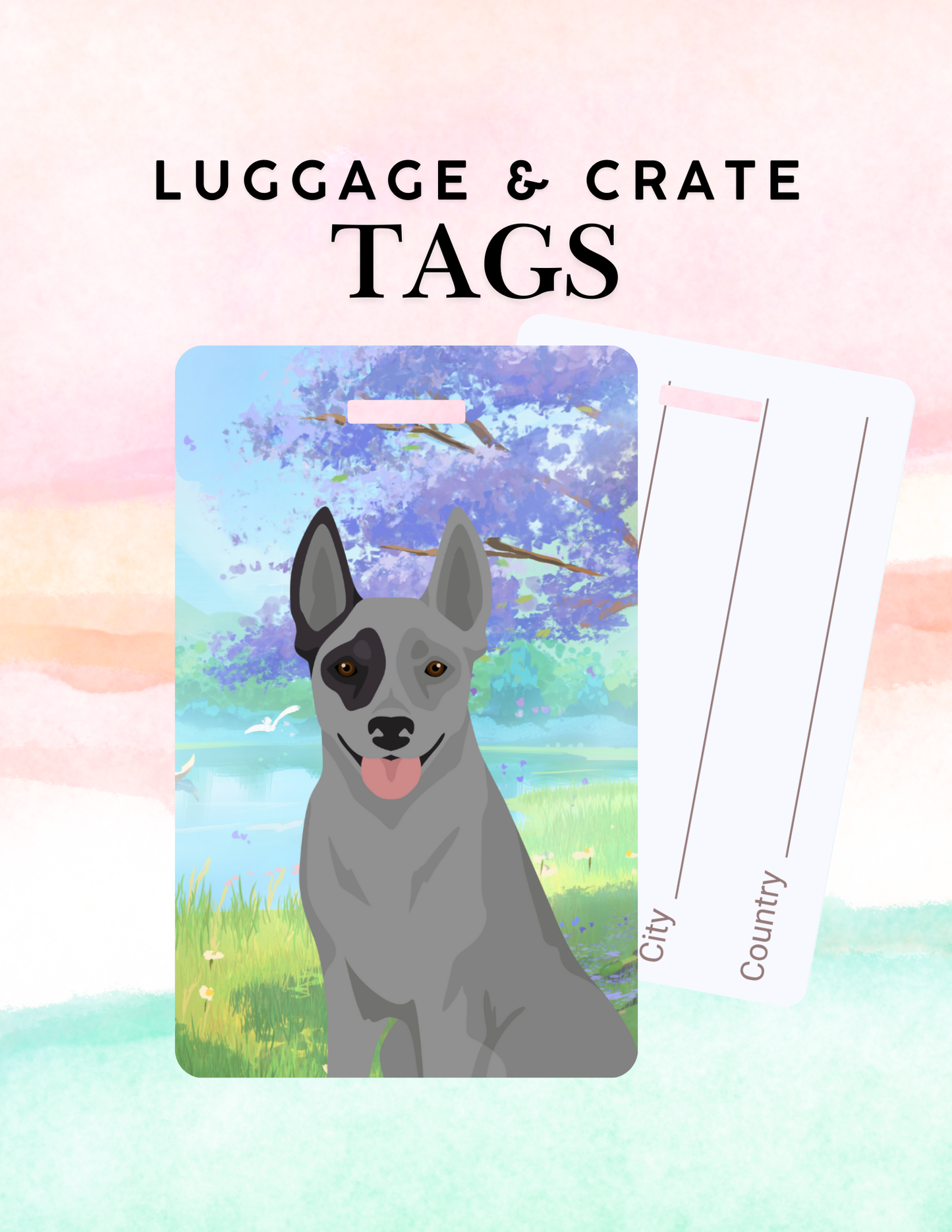 Australian Stumpy Tail Cattle Dog Dog Metal Luggage/ Crate Tag