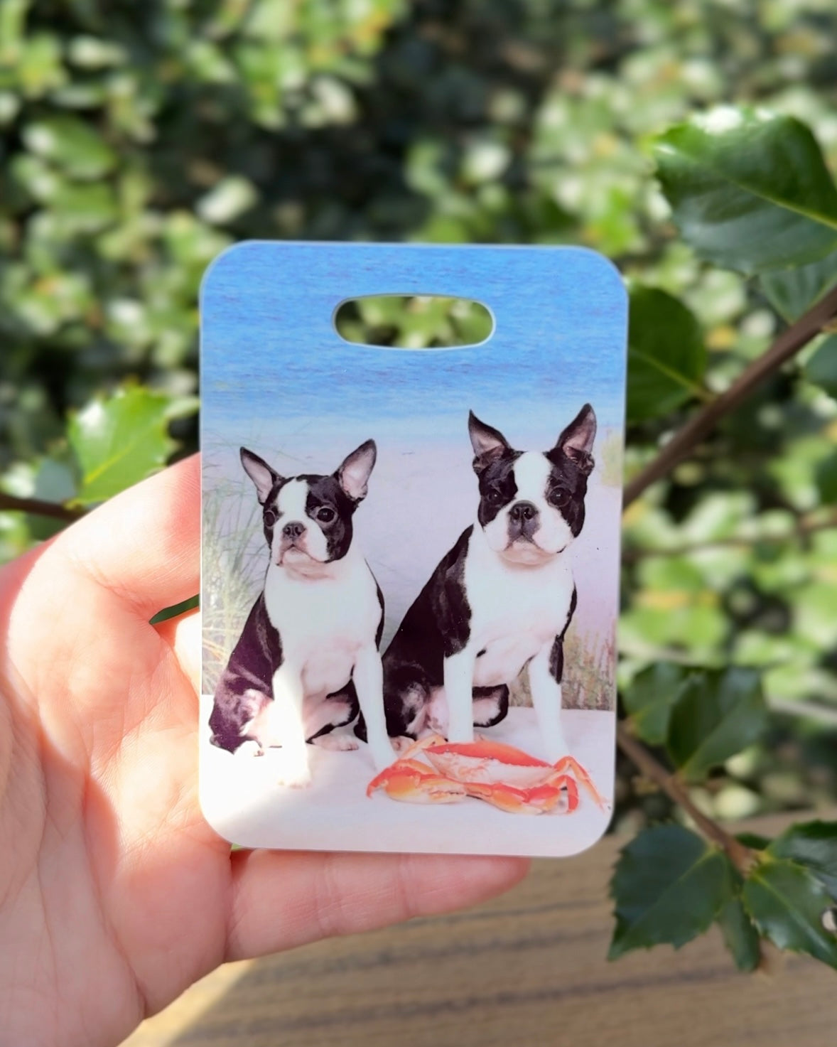 Boston Terrier Dog Luggage Tag