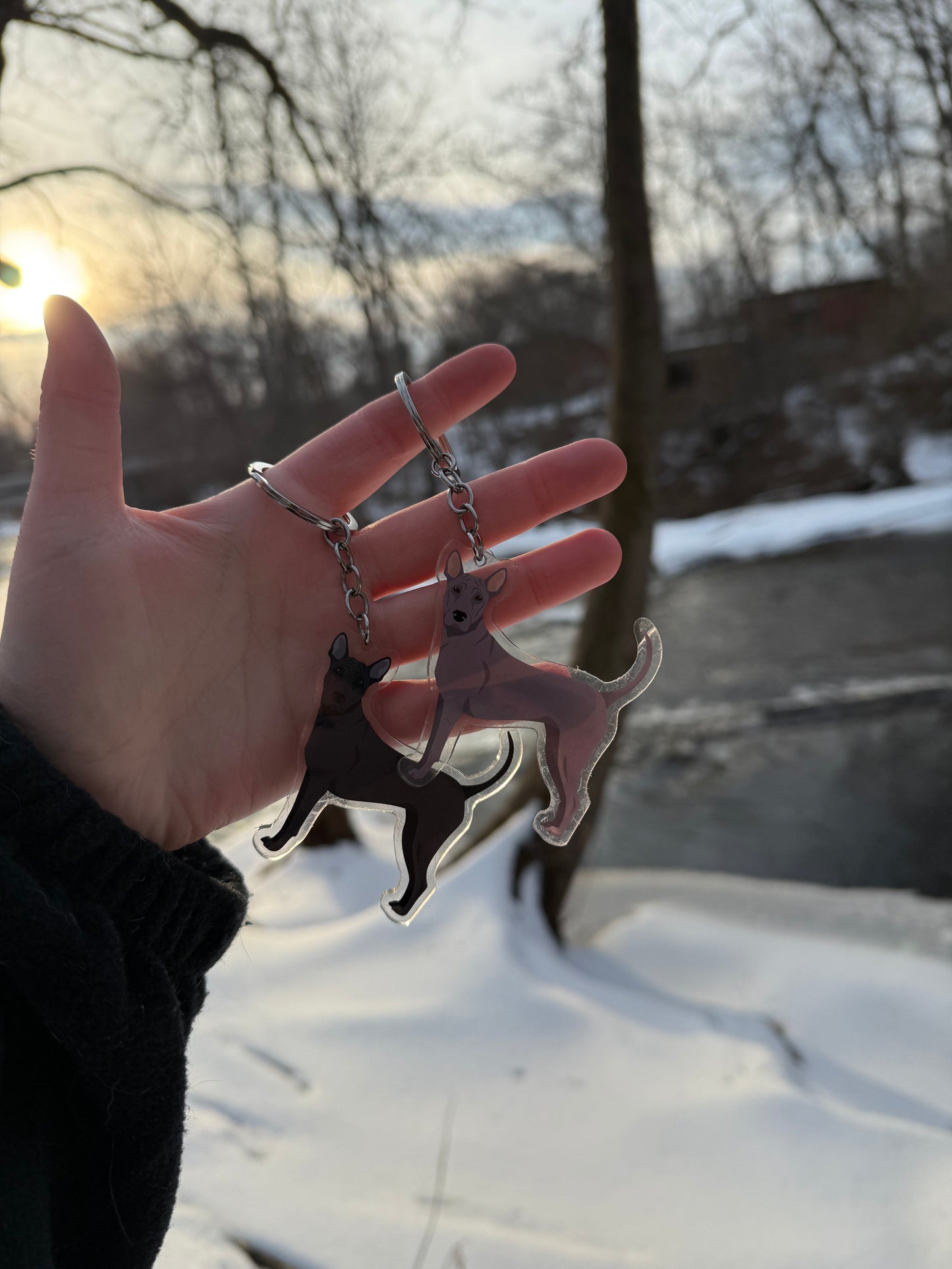 Thai Ridgeback Dog 2.5in Acrylic Keychain