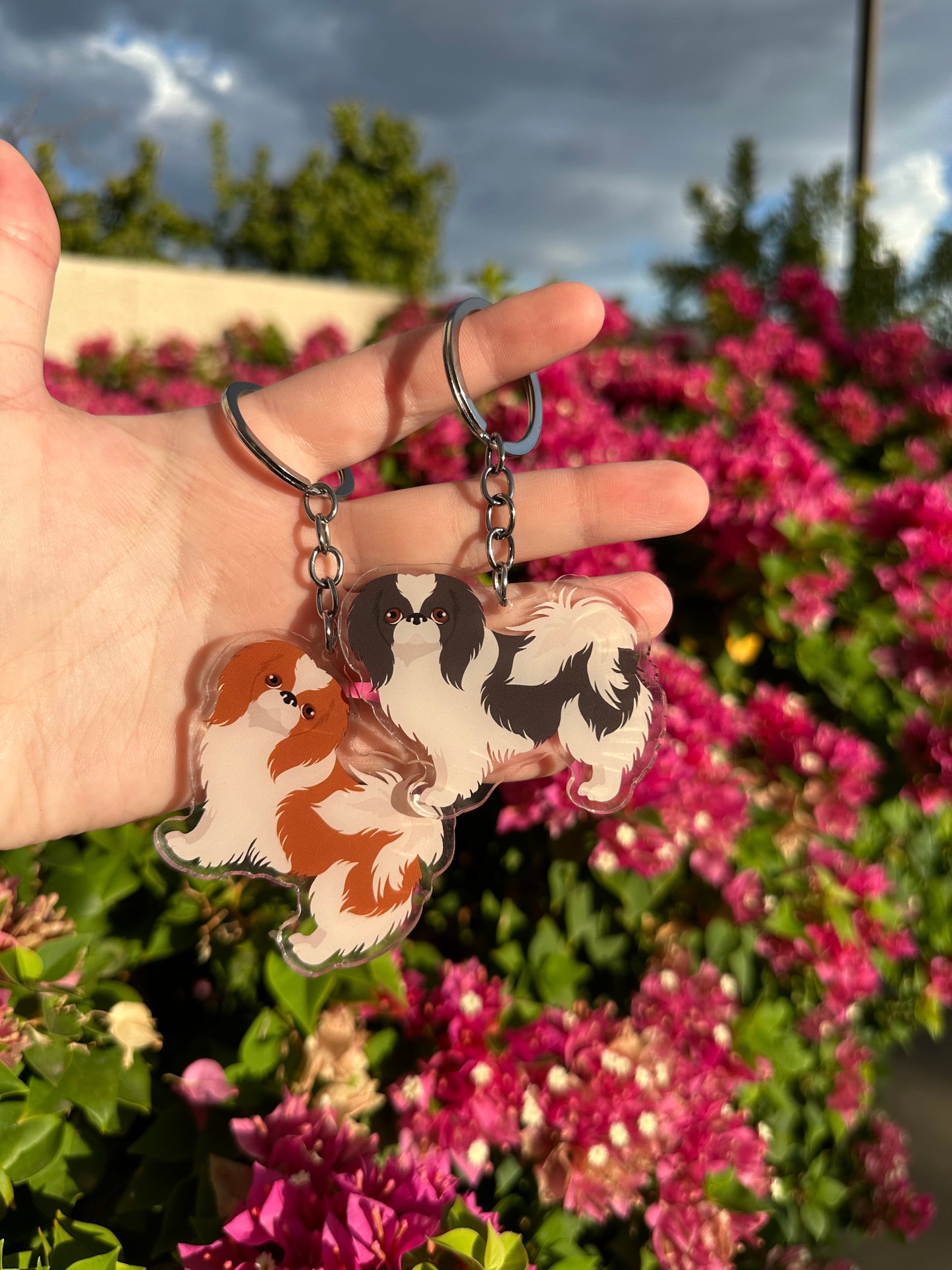 Japanese Chin Dog 2.5in Acrylic Keychain