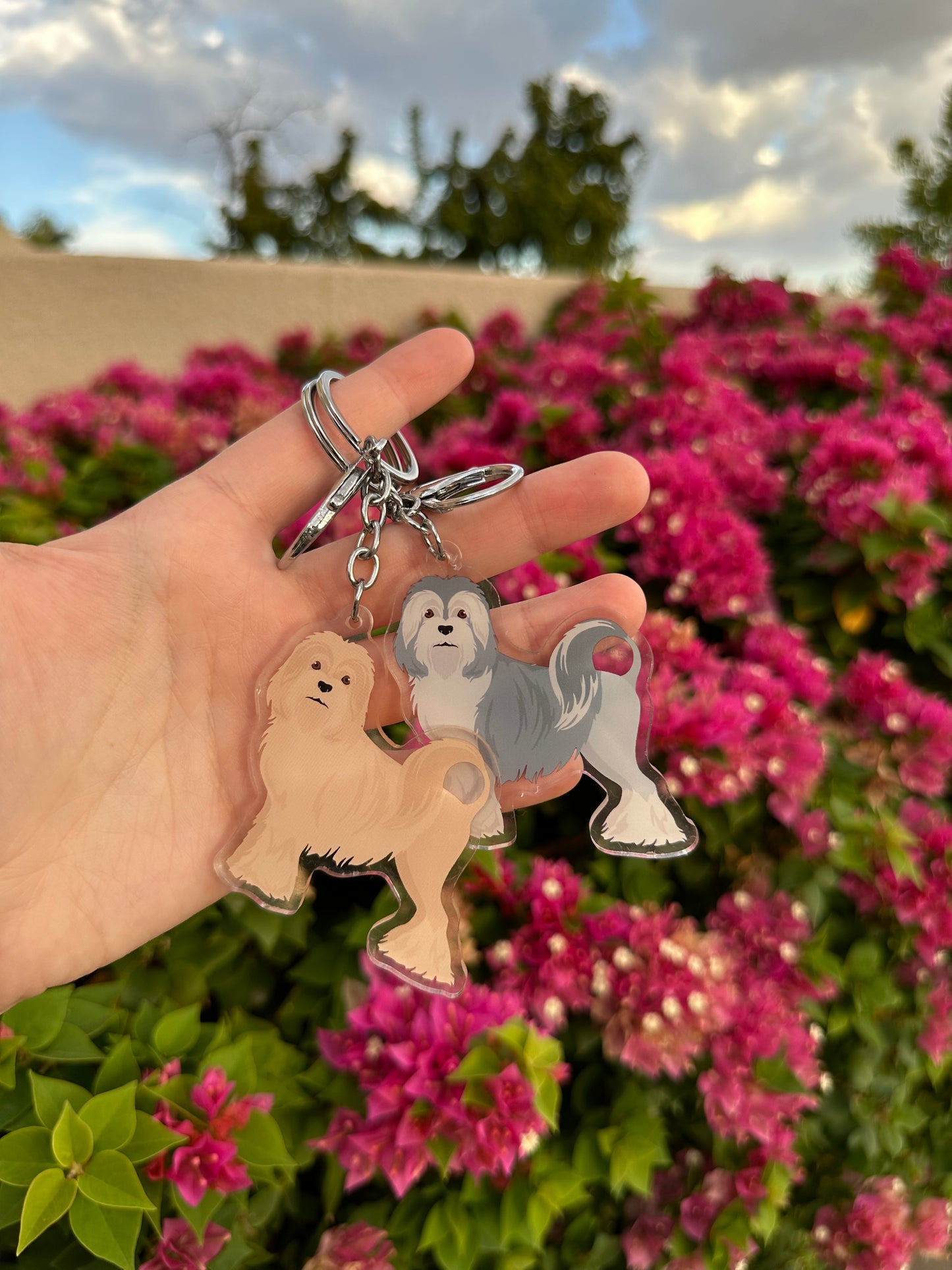 Lowchen Dog 2.5in Acrylic Keychain