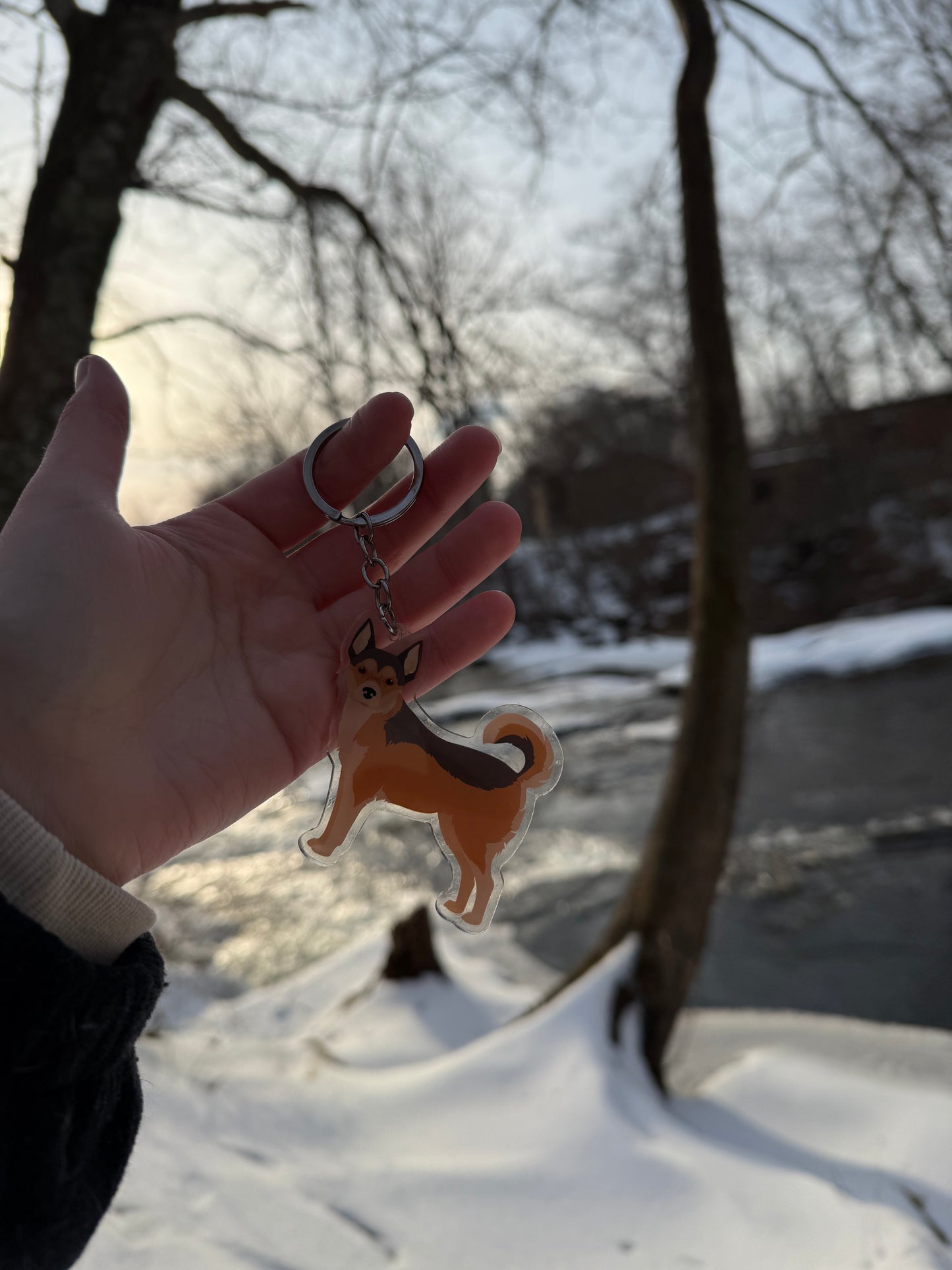 Norwegian Lundehund Dog 2.5in Acrylic Keychain