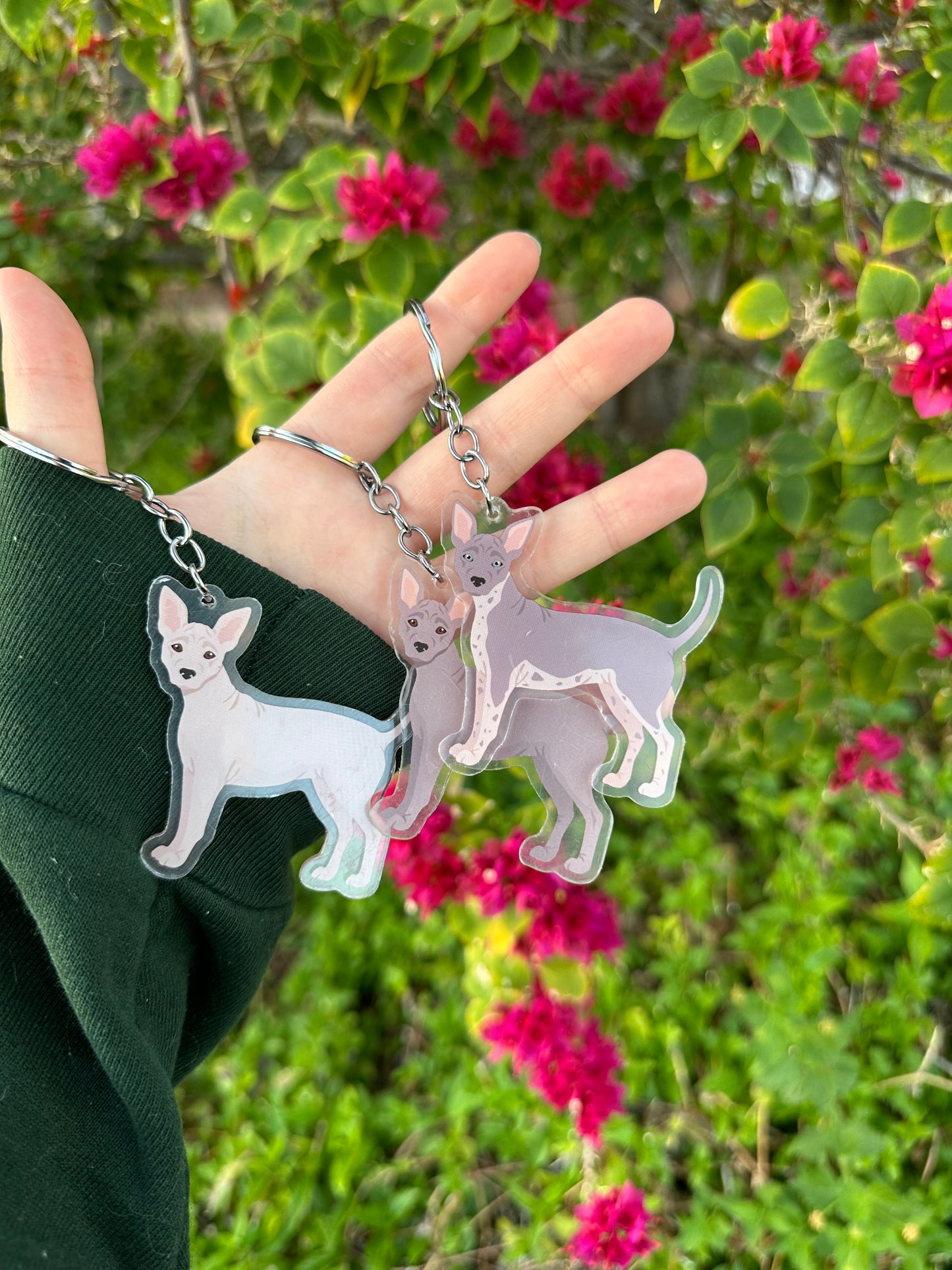 American Hairless Terrier Dog 2.5in Acrylic Keychain