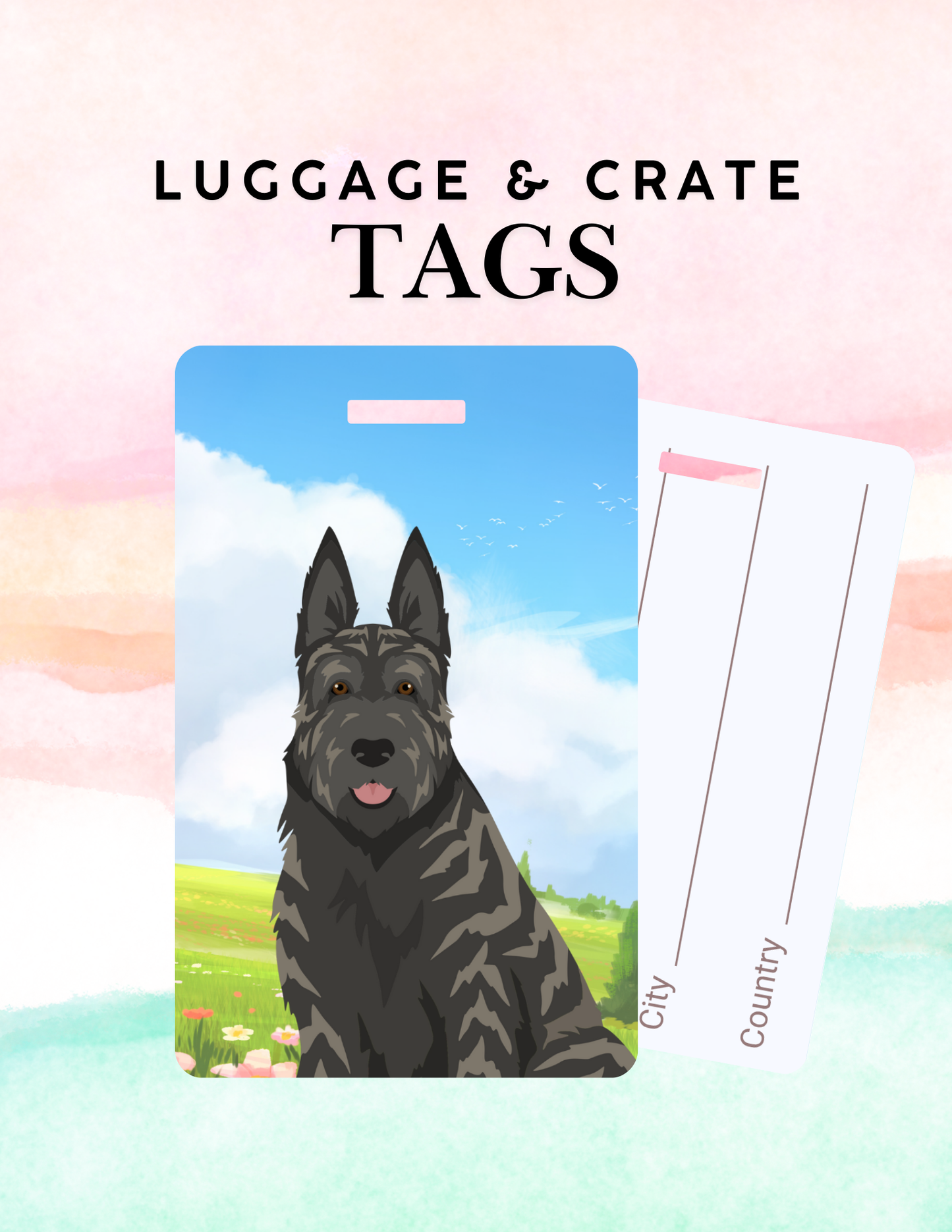 Berger Picard Dog Metal Luggage/ Crate Tag