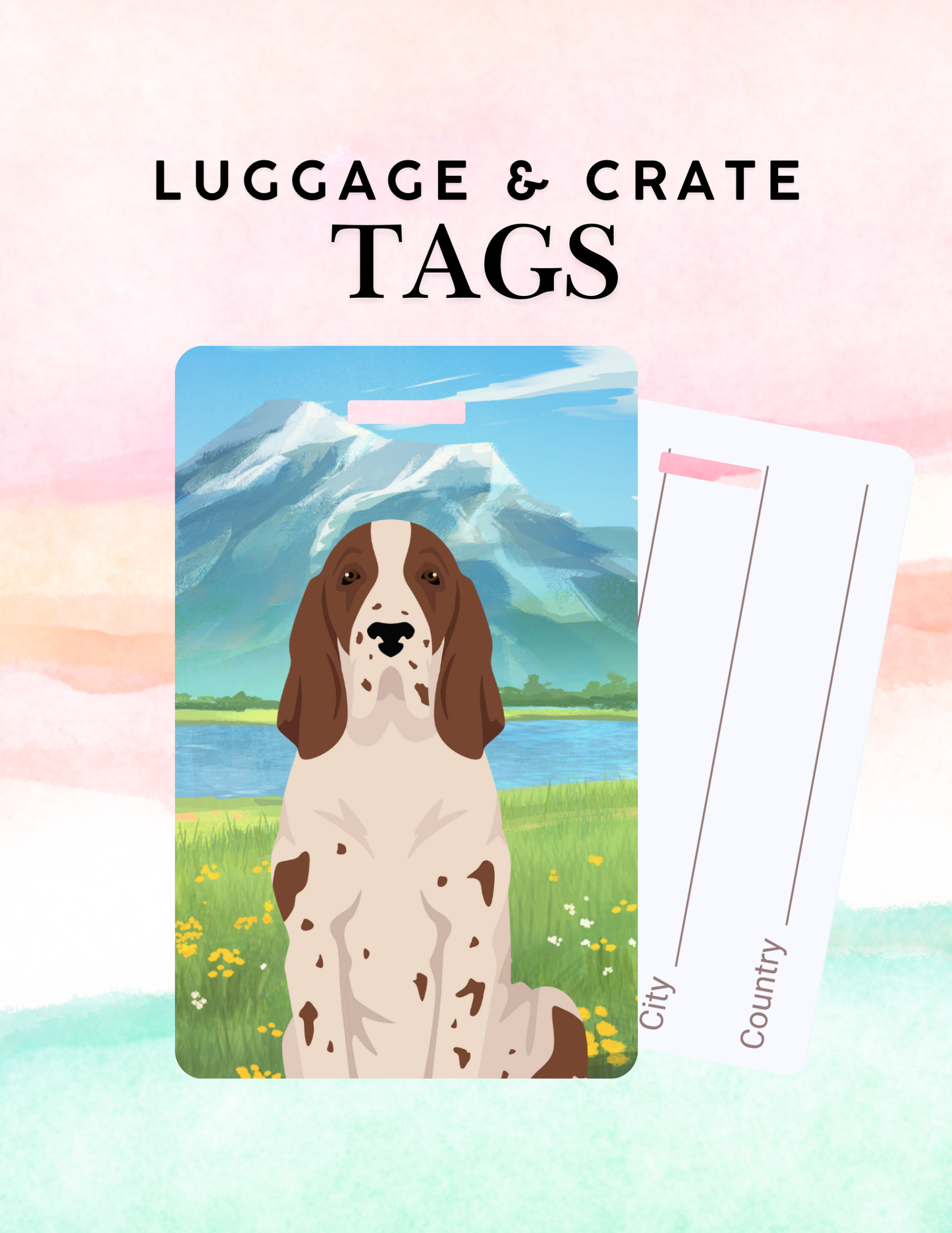 Bracco Italiano Dog Metal Luggage/ Crate Tag