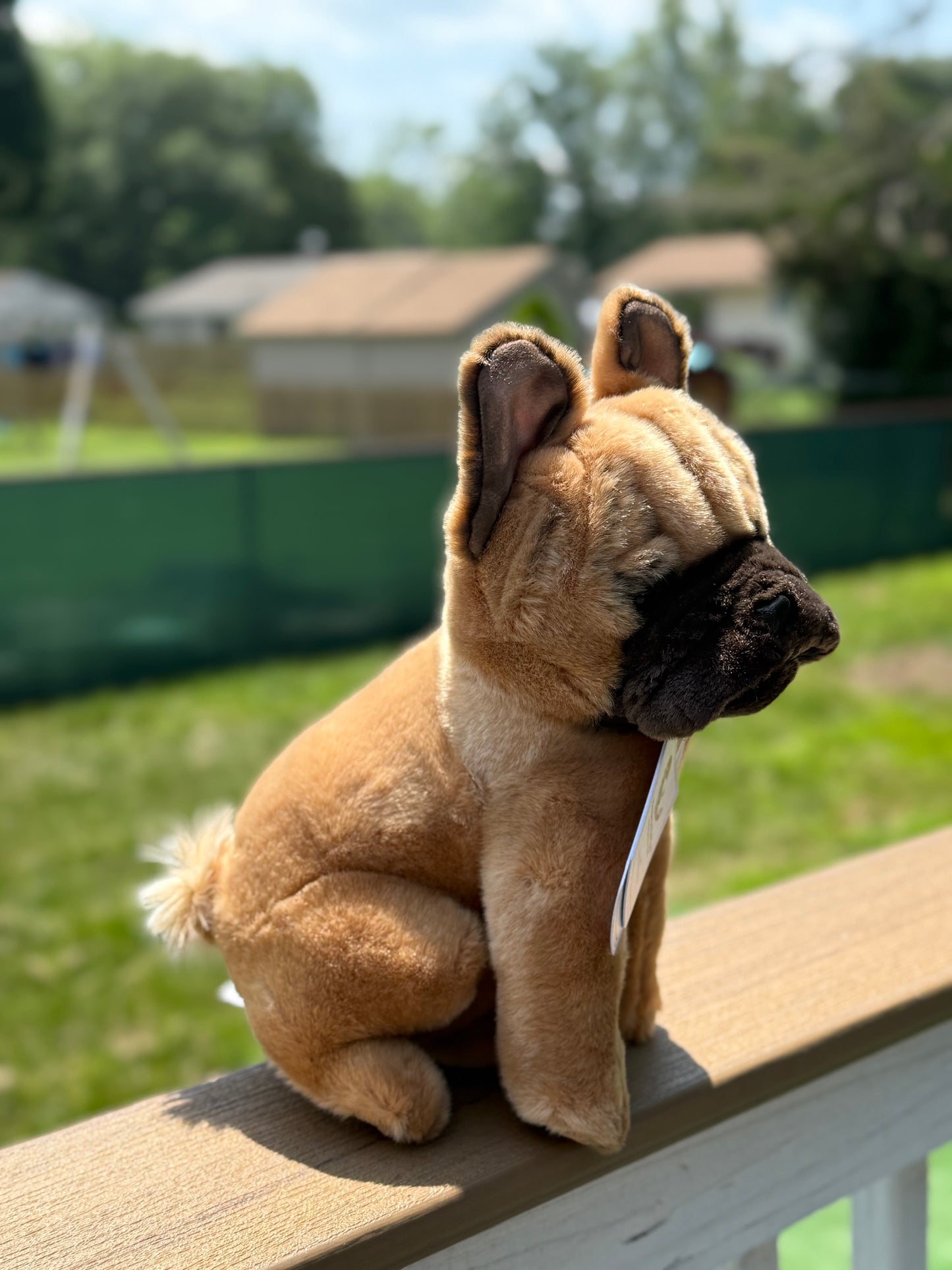 Bocchetta French Bulldog Dog Plush 30cm