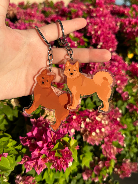 Finnish Spitz Dog 2.5in Acrylic Keychain