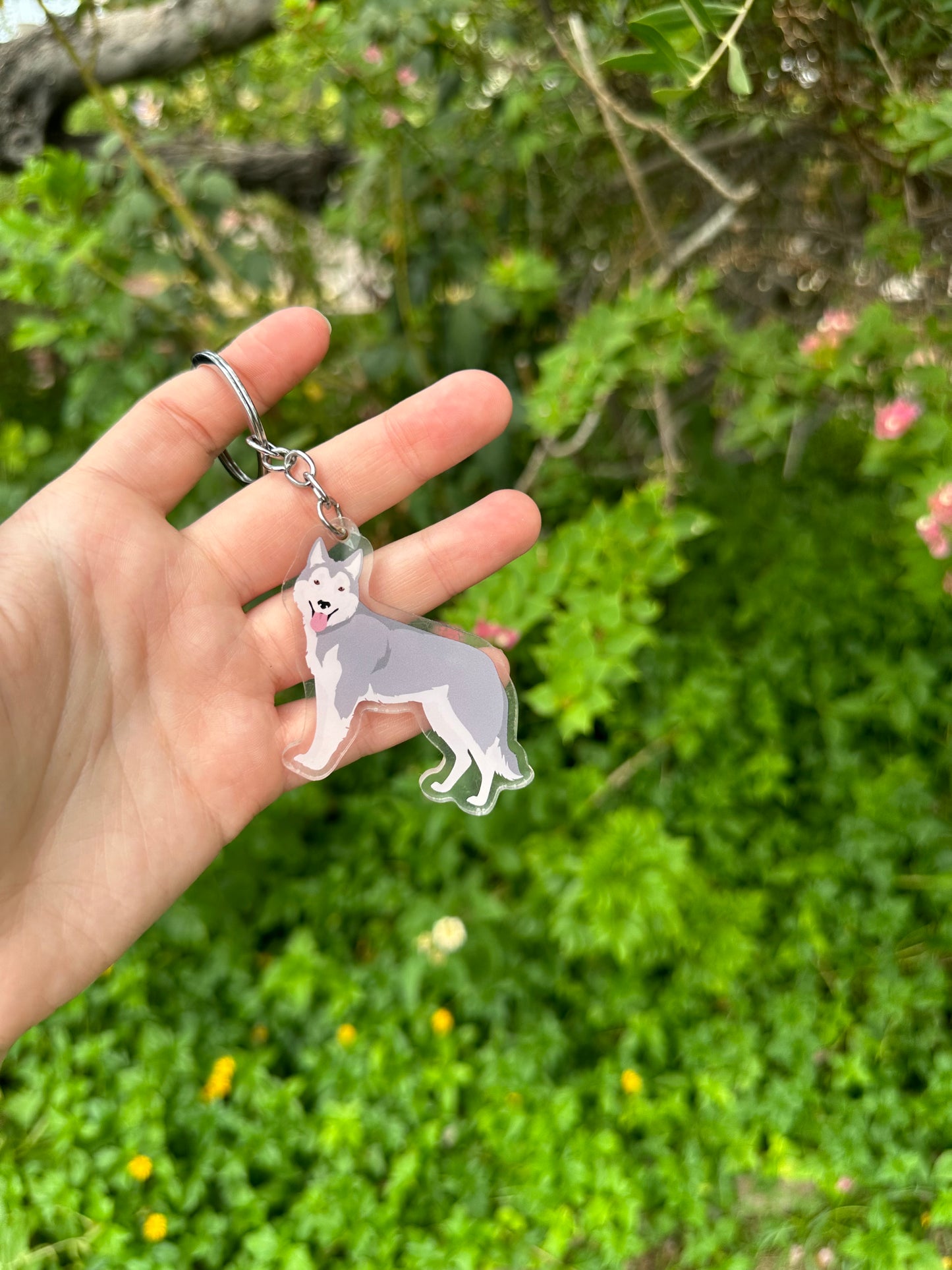 Northern Inuit Dog 2.5in Acrylic Keychain