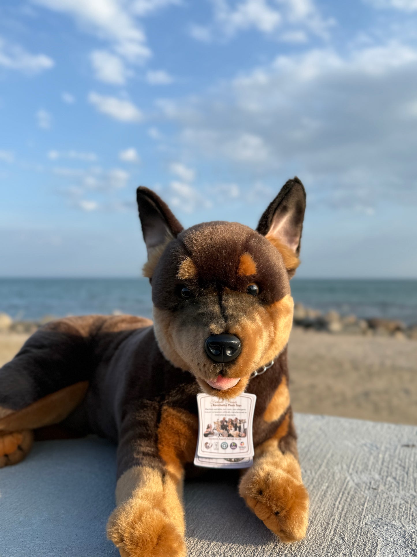 Bocchetta Australian Kelpie Dog Plush 62cm