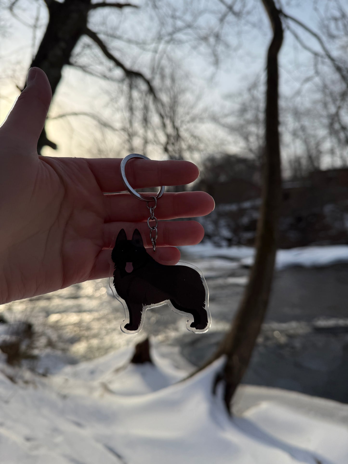 Schipperke Dog 2.5in Acrylic Keychain