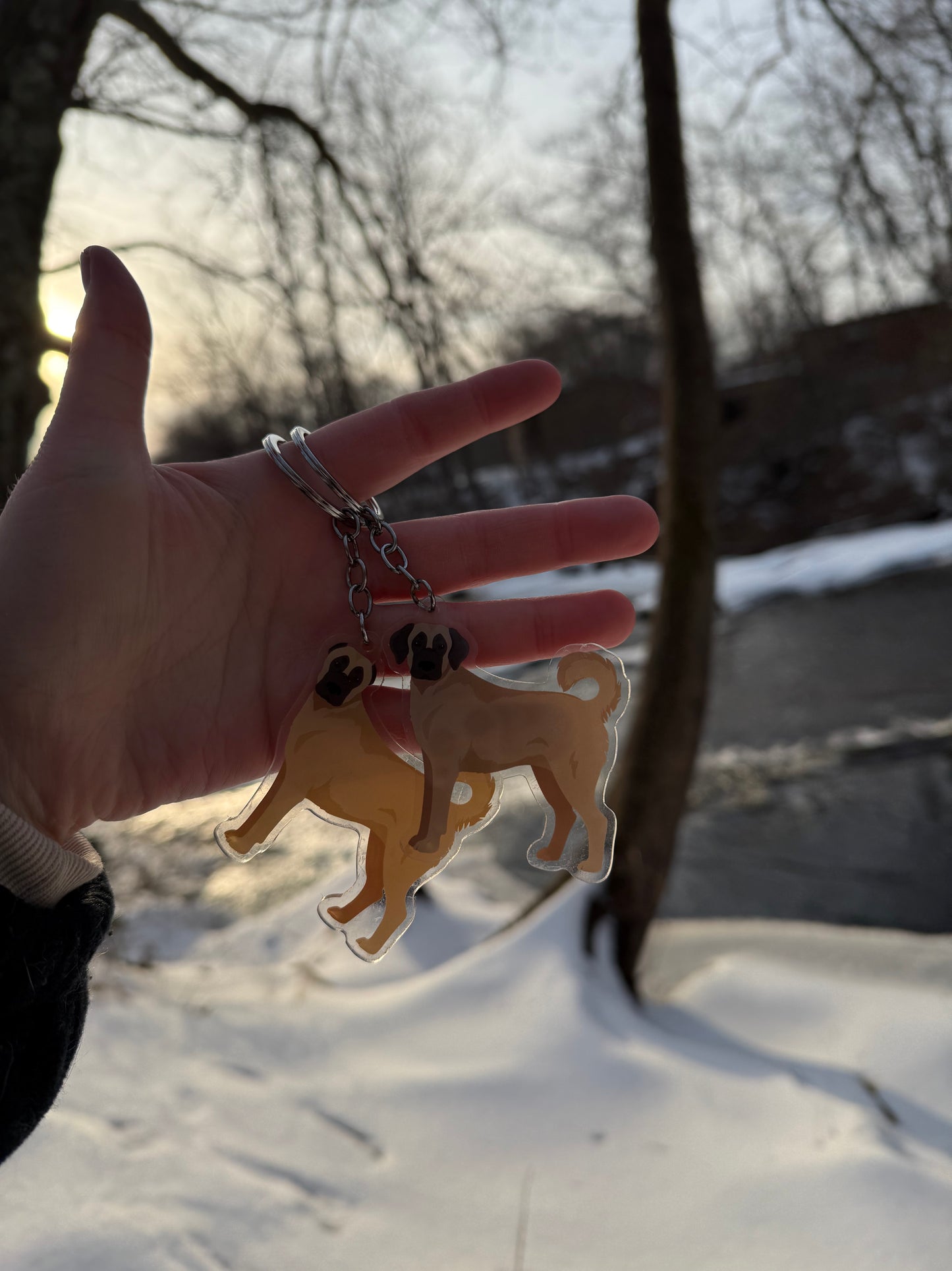 Kangal Dog 2.5in Acrylic Keychain