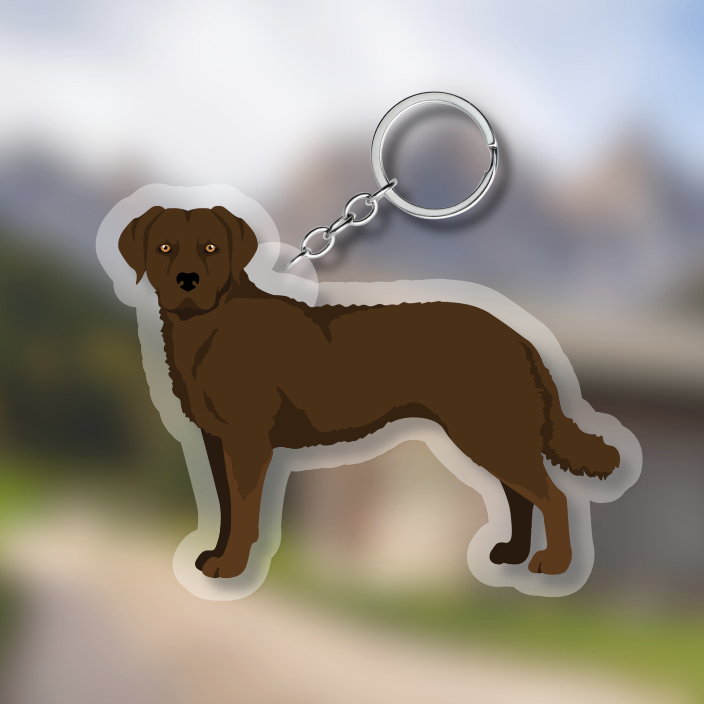 Chesapeake Bay Retriever Dog 2.5in Acrylic Keychain