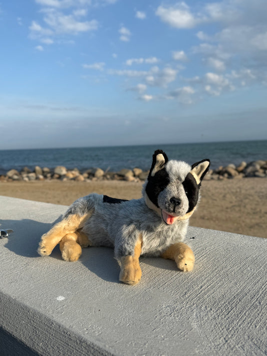 Bocchetta Australian Cattle Dog Plush 35cm