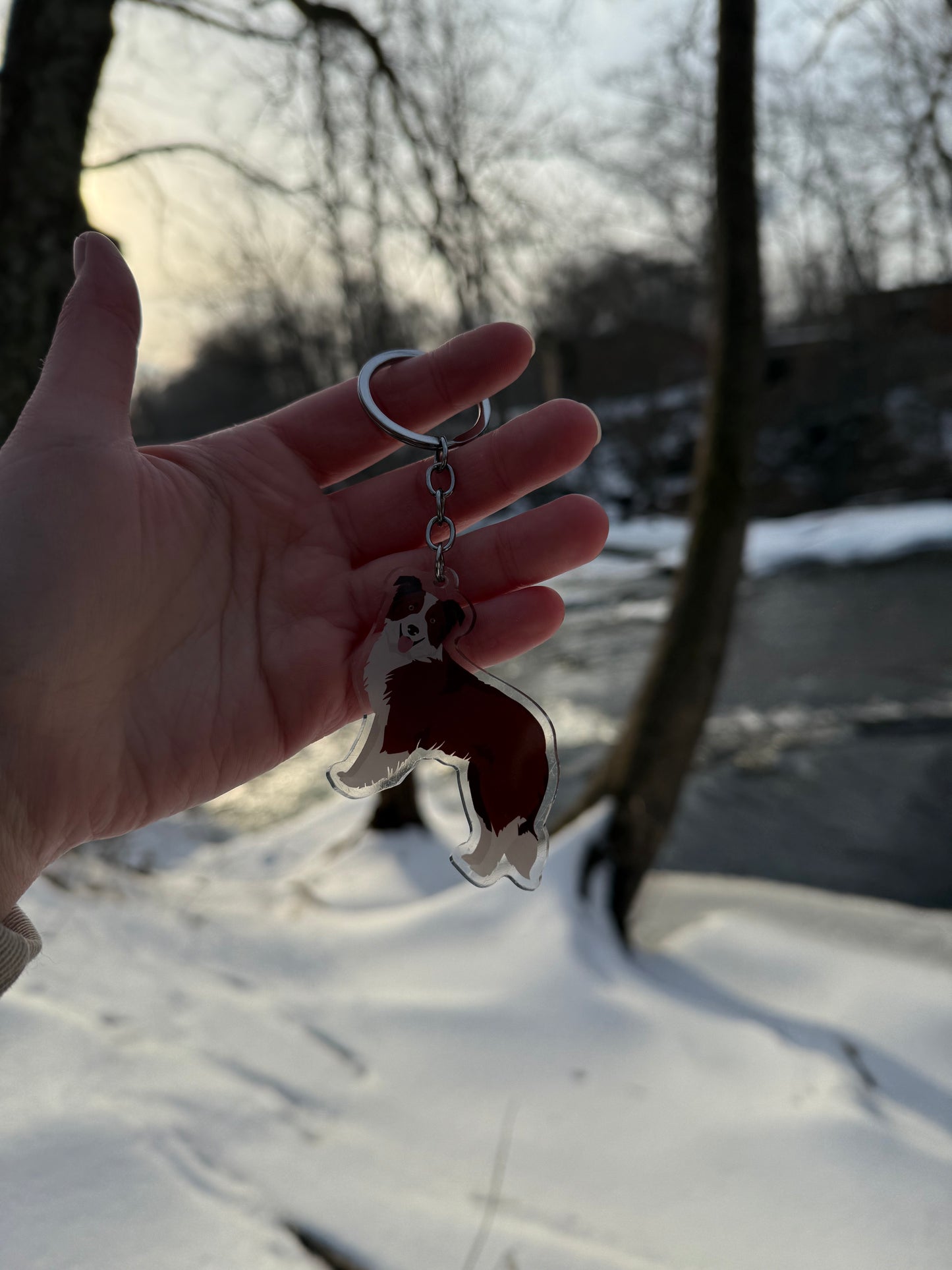 Red Border Collie Dog 2.5in Acrylic Keychain