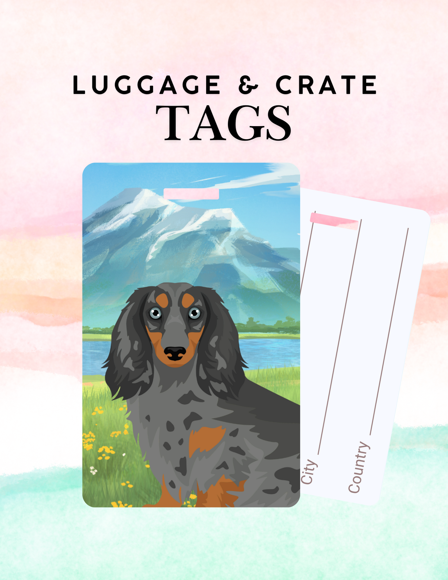 Dachshund Dog Metal Luggage/ Crate Tag
