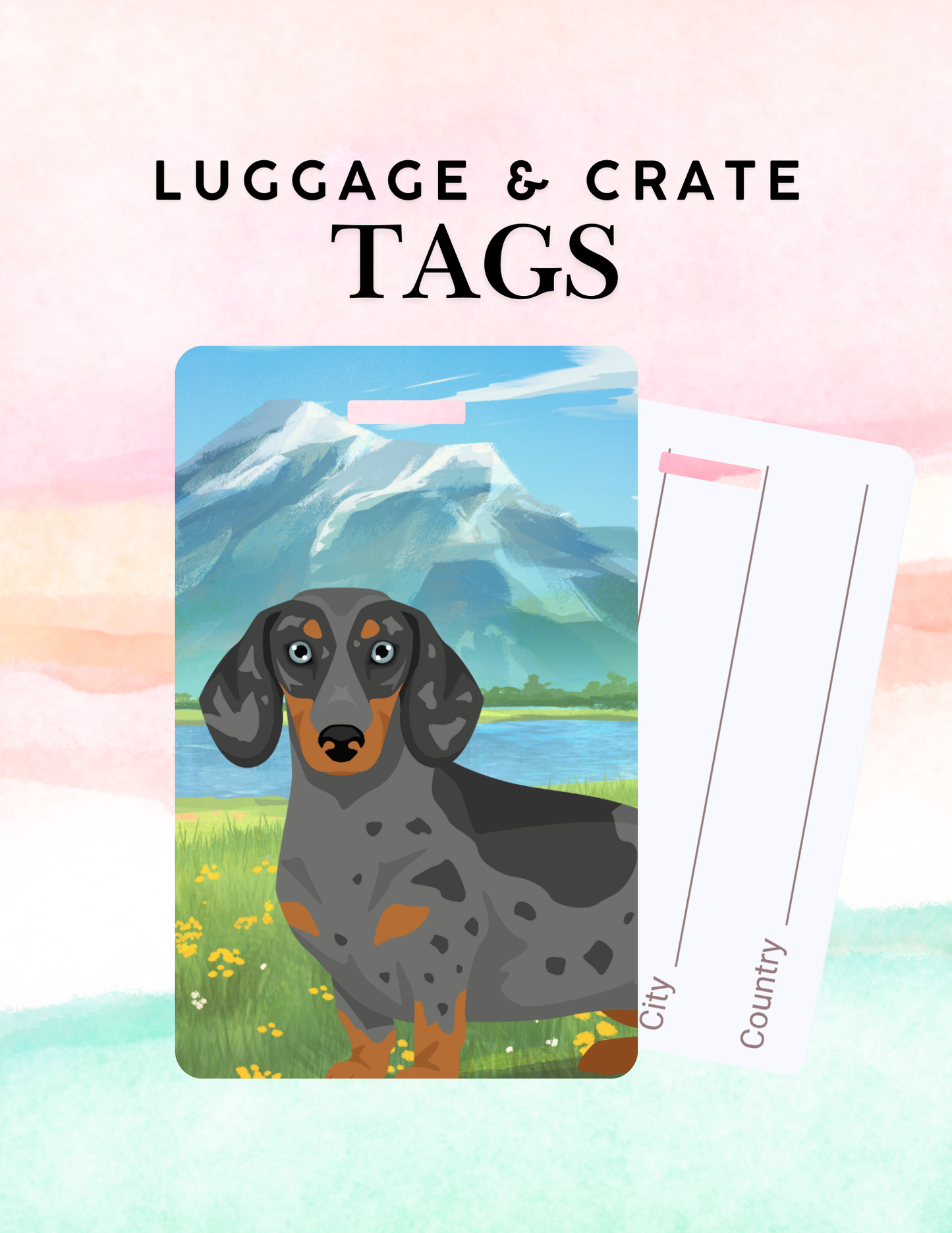 Dachshund Dog Metal Luggage/ Crate Tag