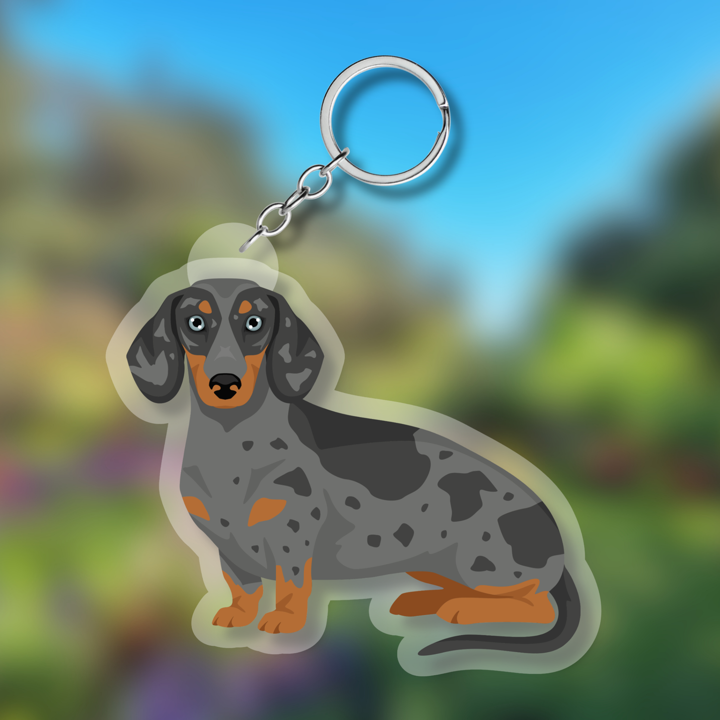 Dachshund Dog 2.5in Acrylic Keychain