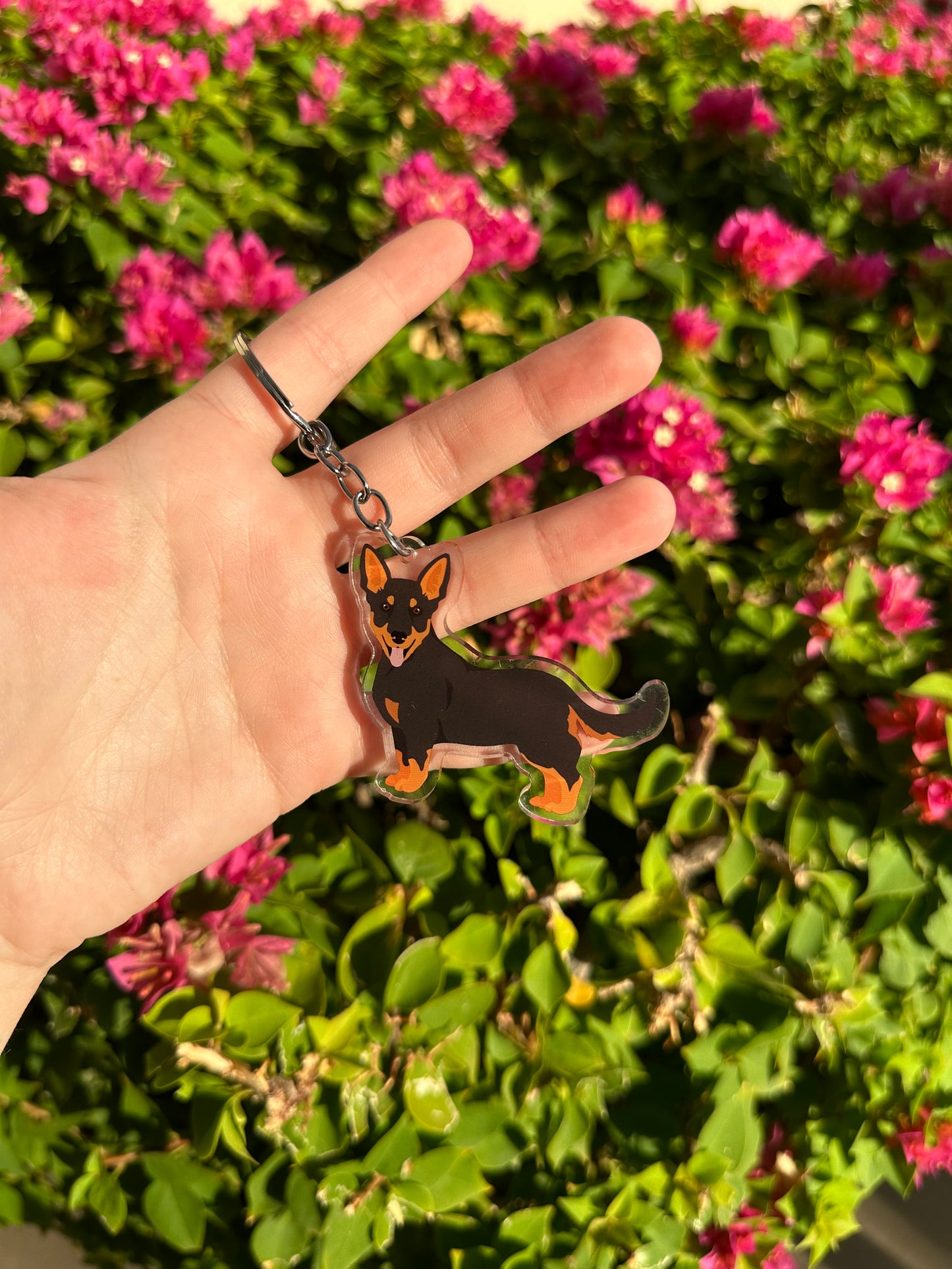 Lancashire Heeler Dog 2.5in Acrylic Keychain