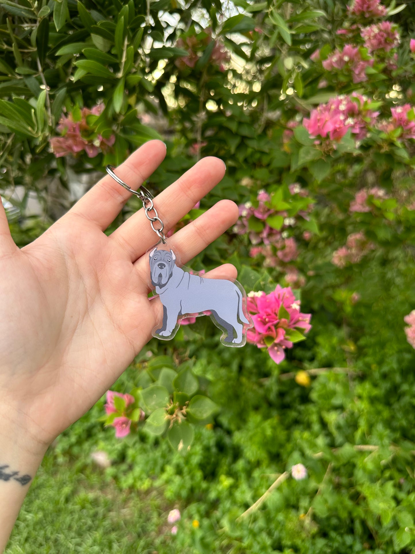 Neapolitan Mastiff Dog 2.5in Acrylic Keychain