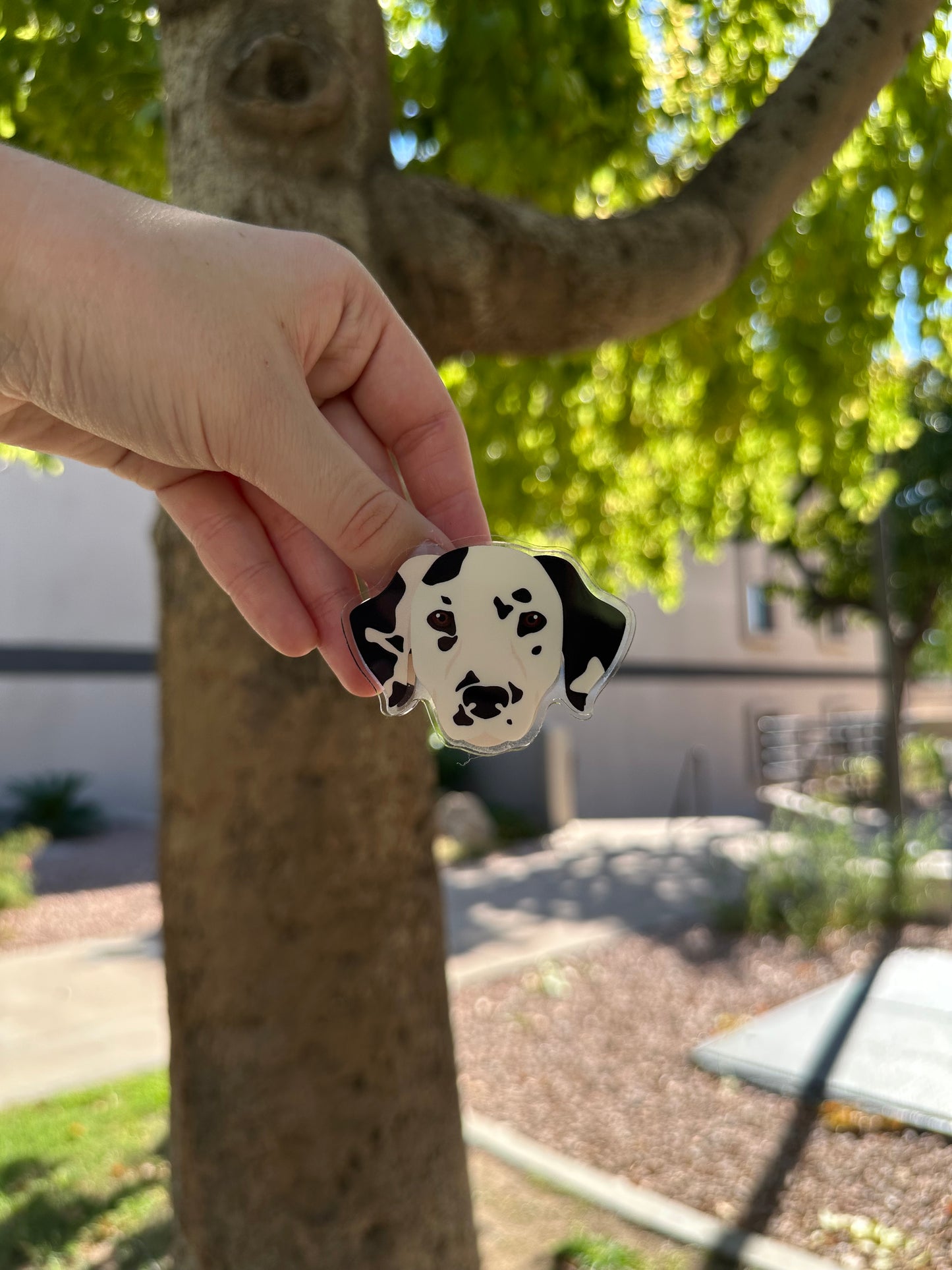 Dalmatian Dog Clip 2.5in