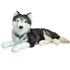 Dubi Husky Dog Plush 60cm
